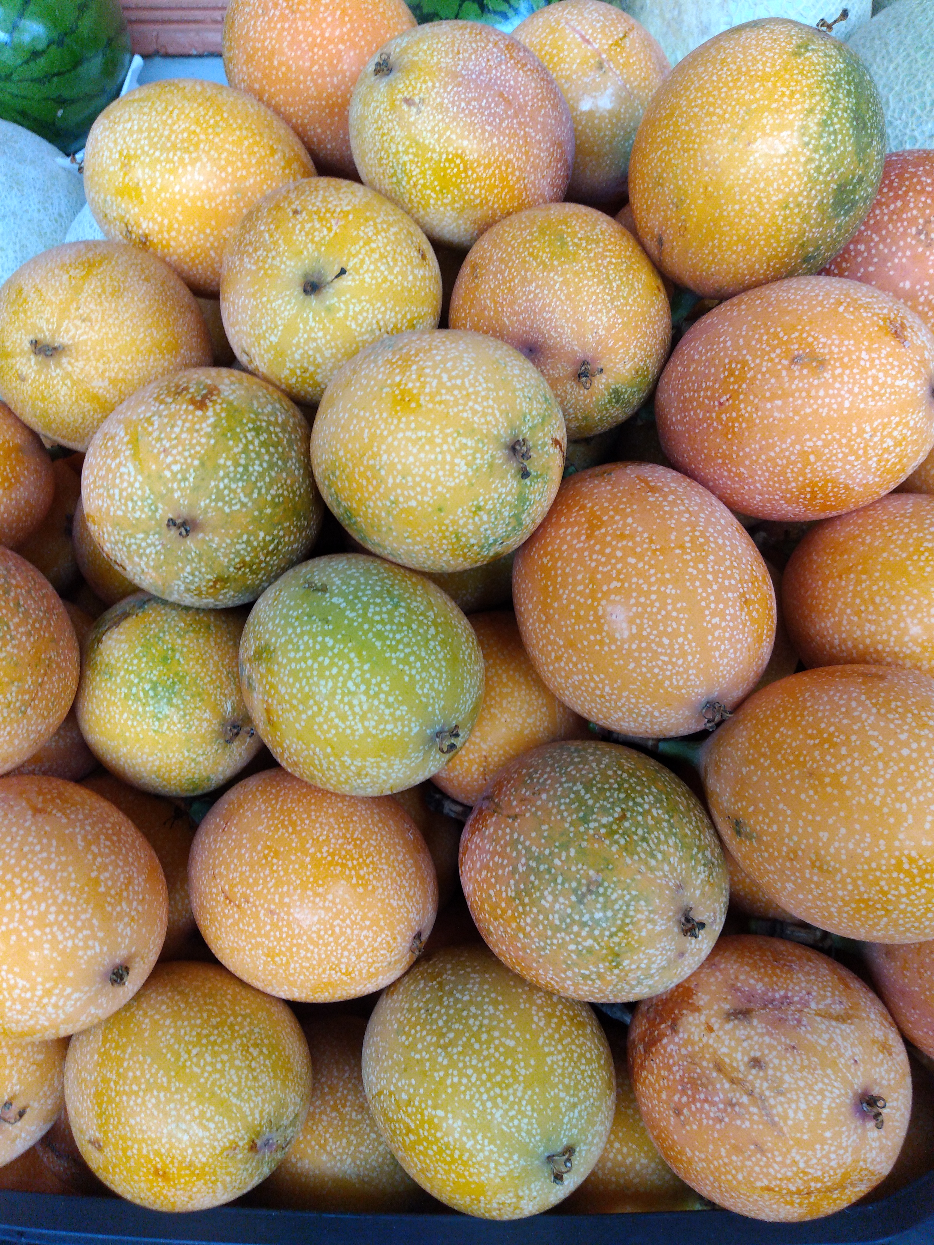Granadilla