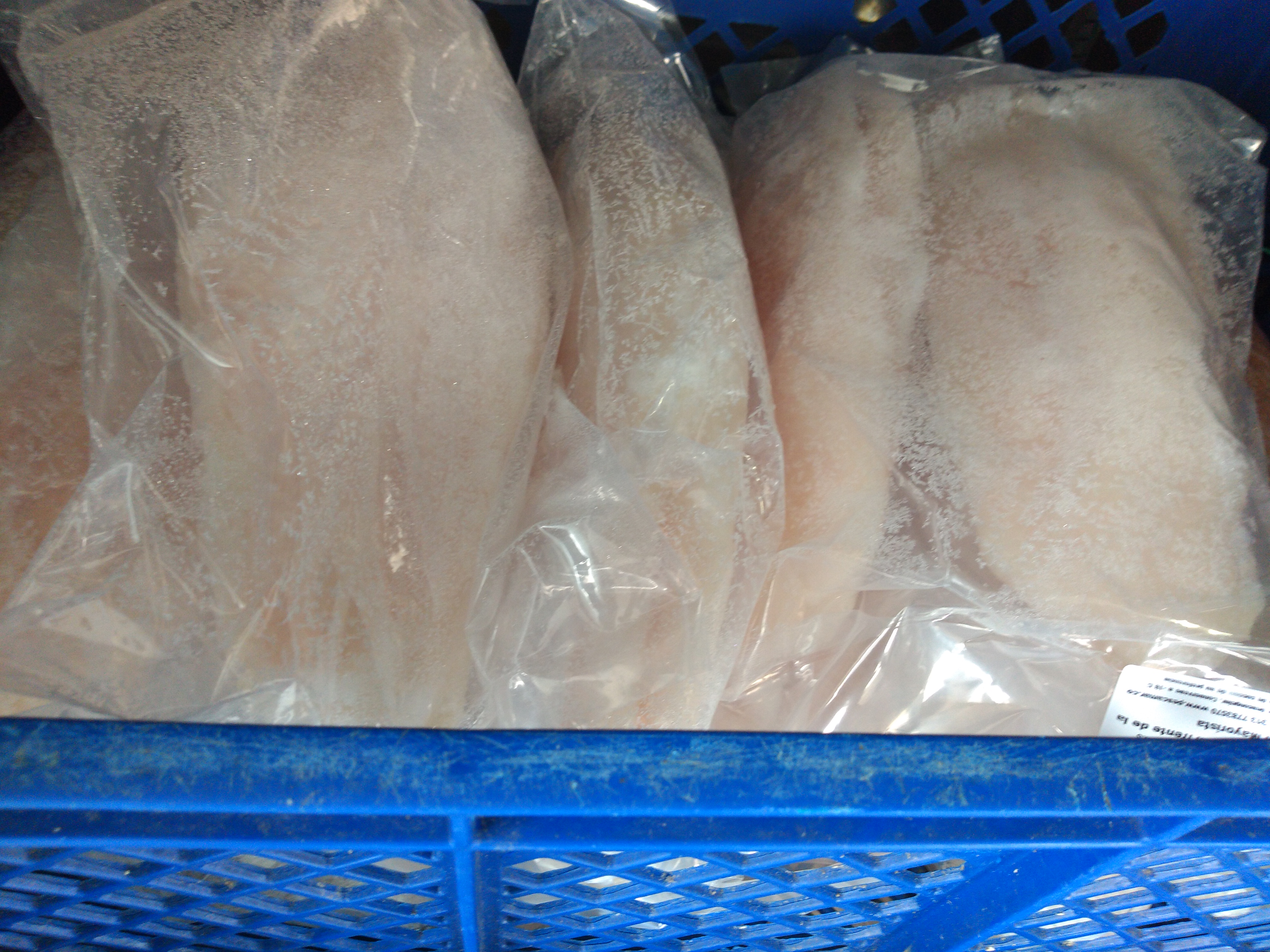 Filete bass