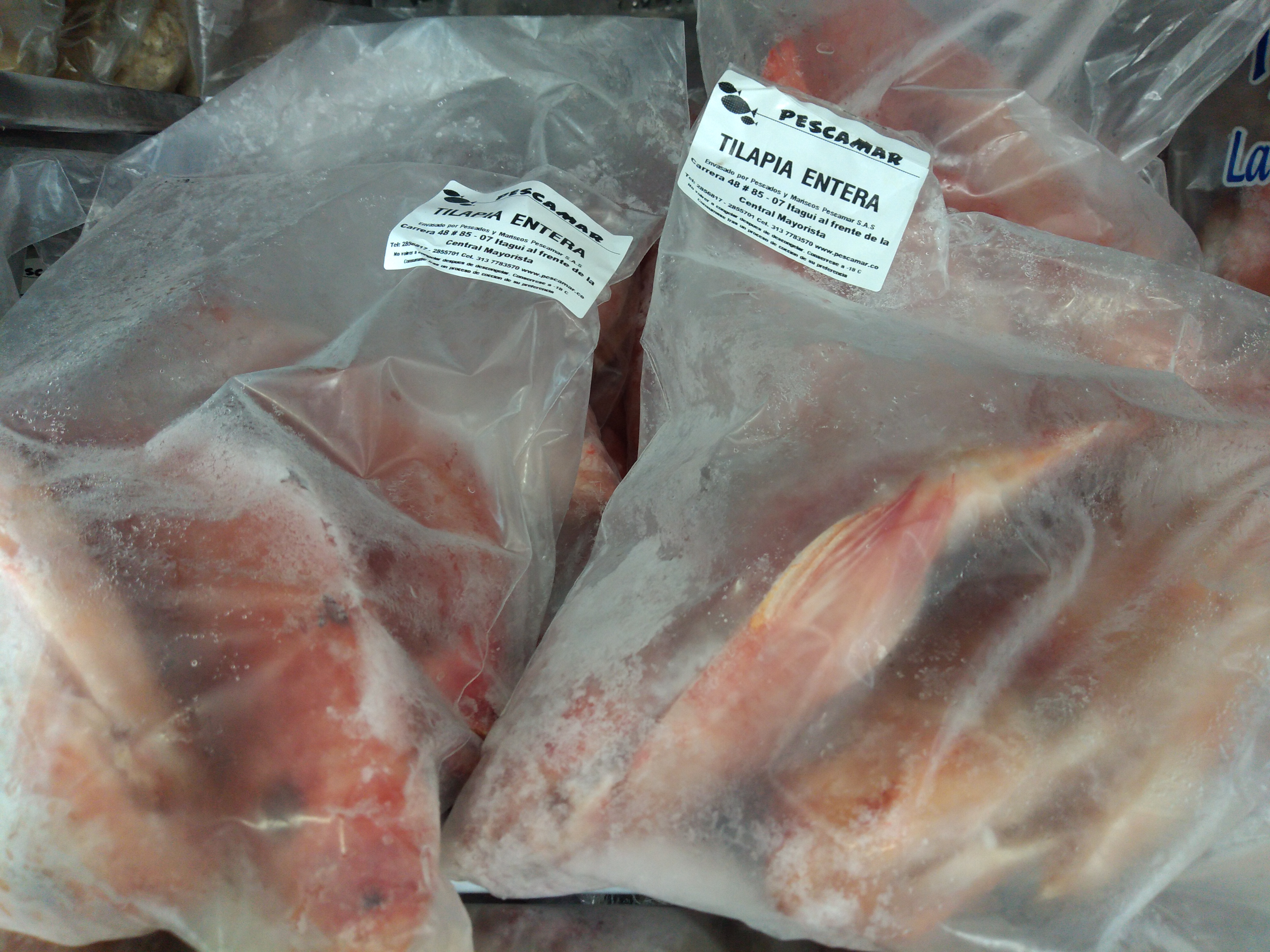 Tilapia entera