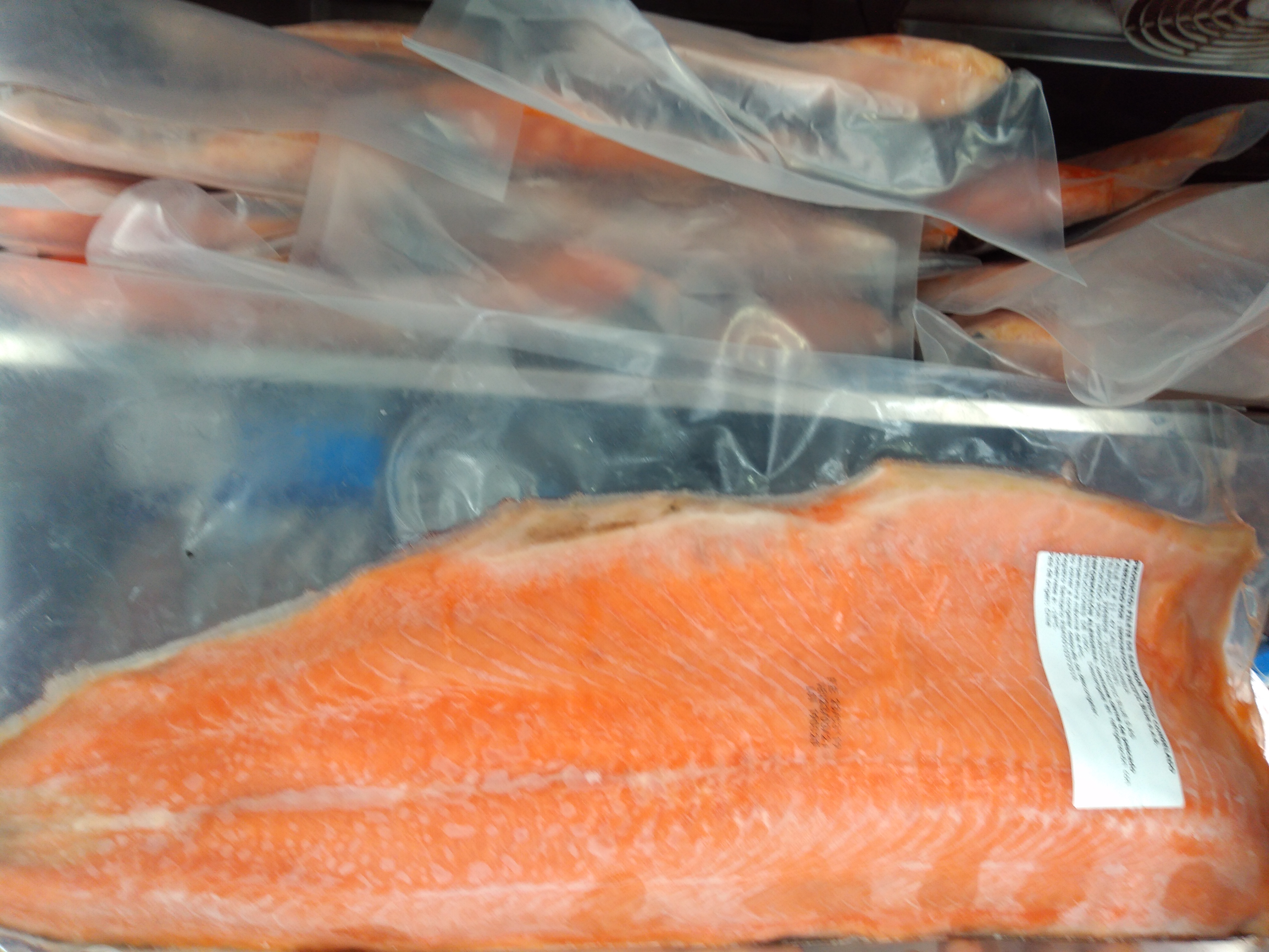 Salmón