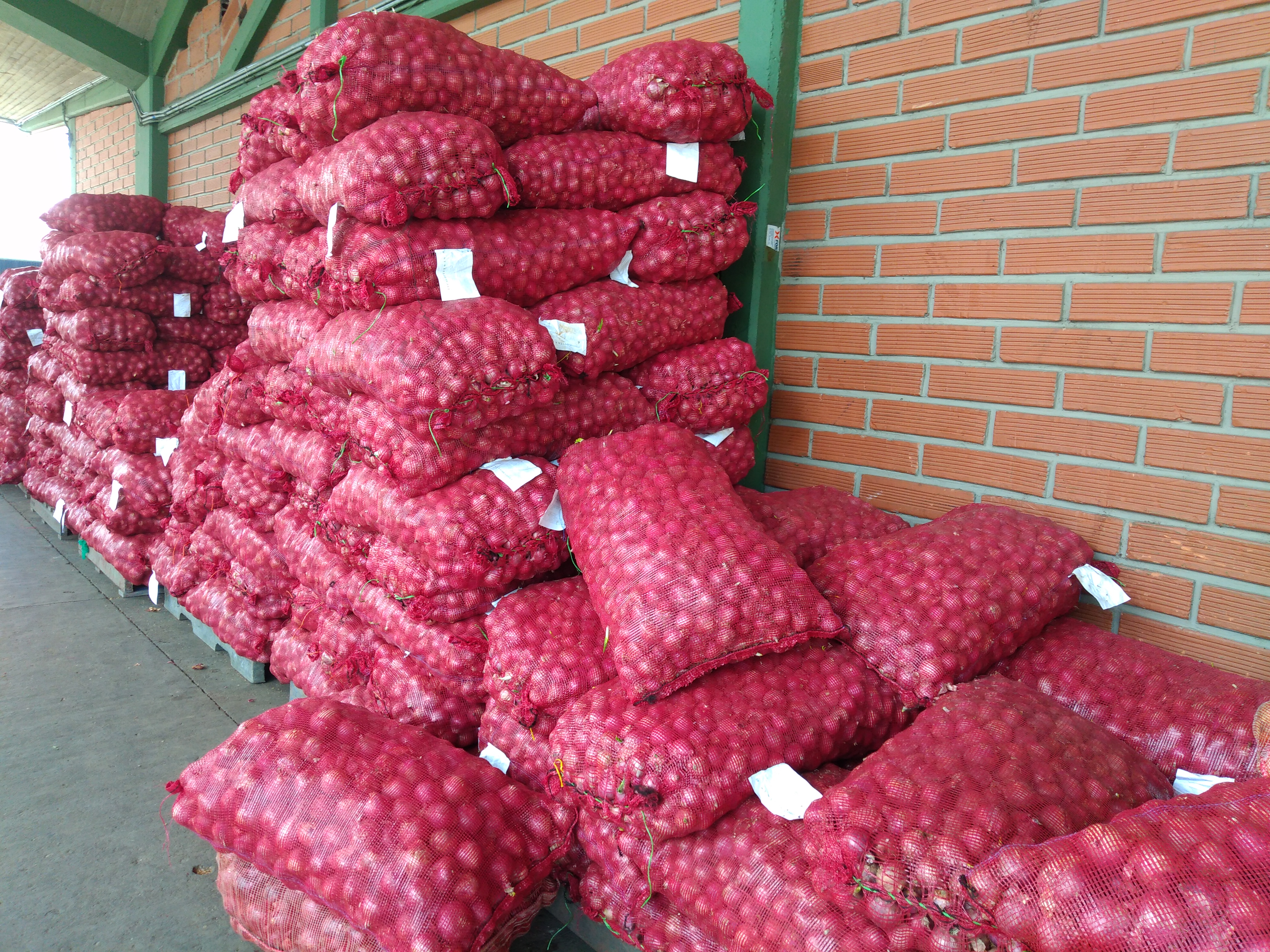 Cebolla roja bulto x 44 k