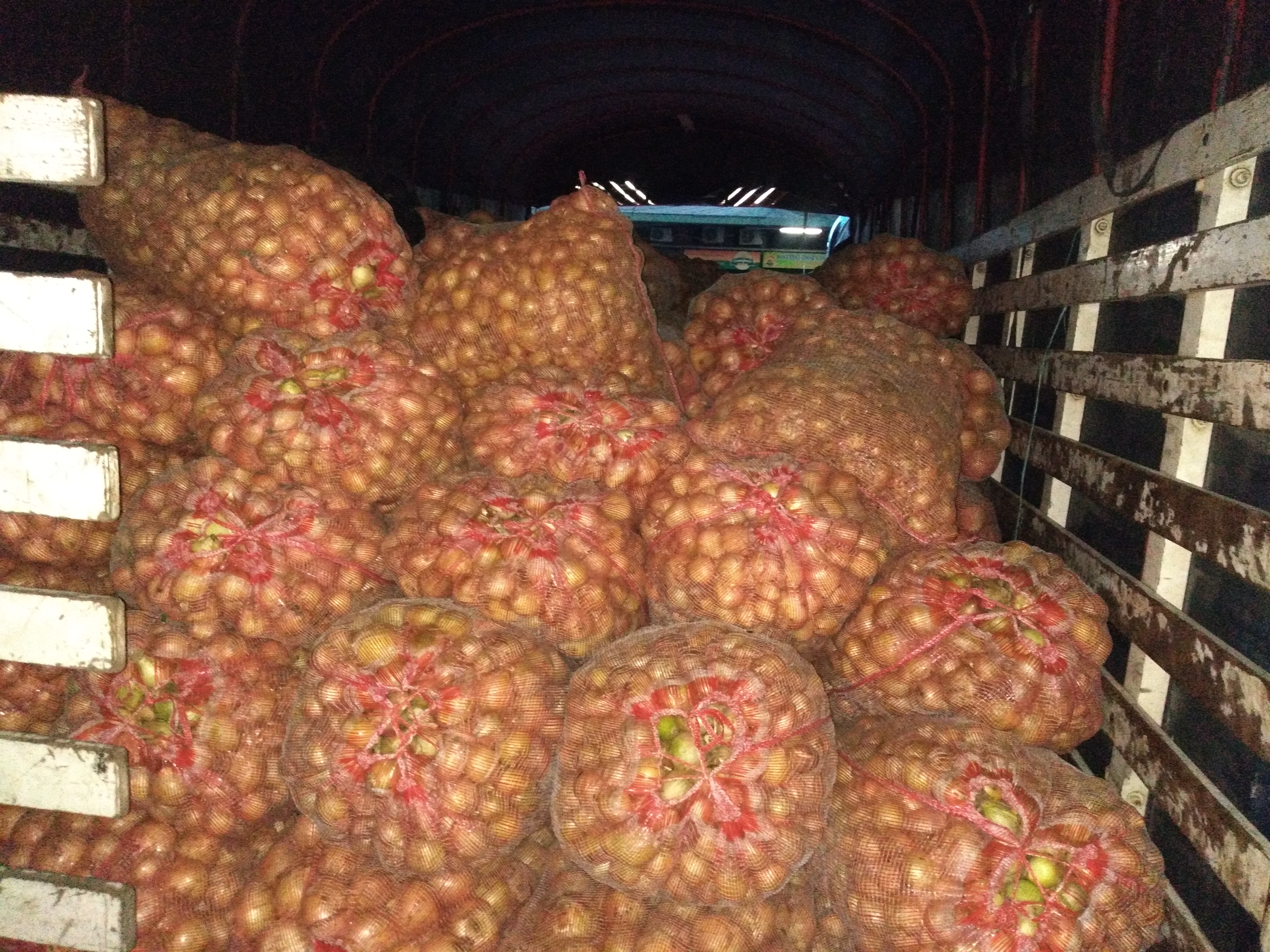Cebolla blanca sin pelar bulto x 48 kg