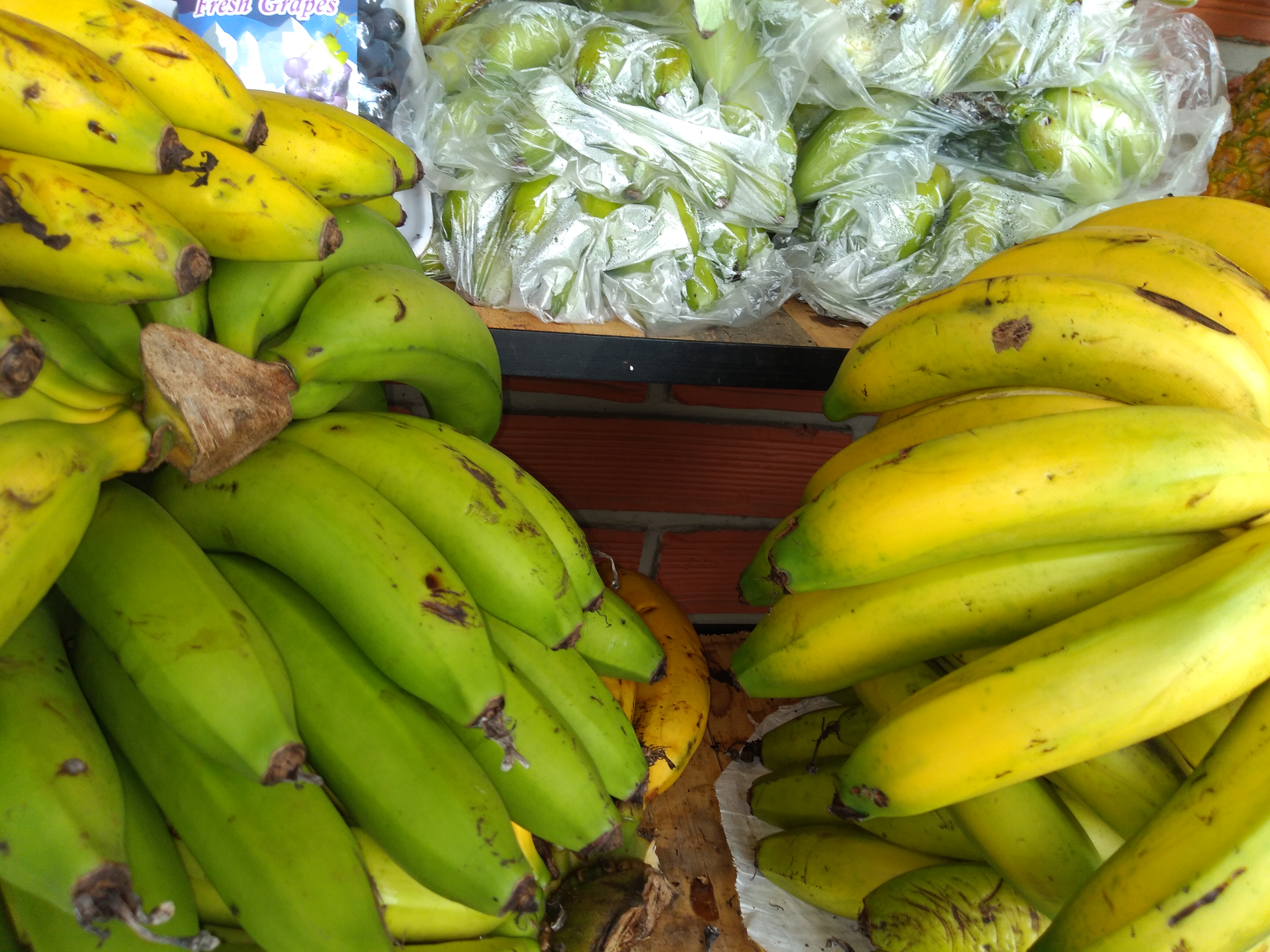 Banano criollo