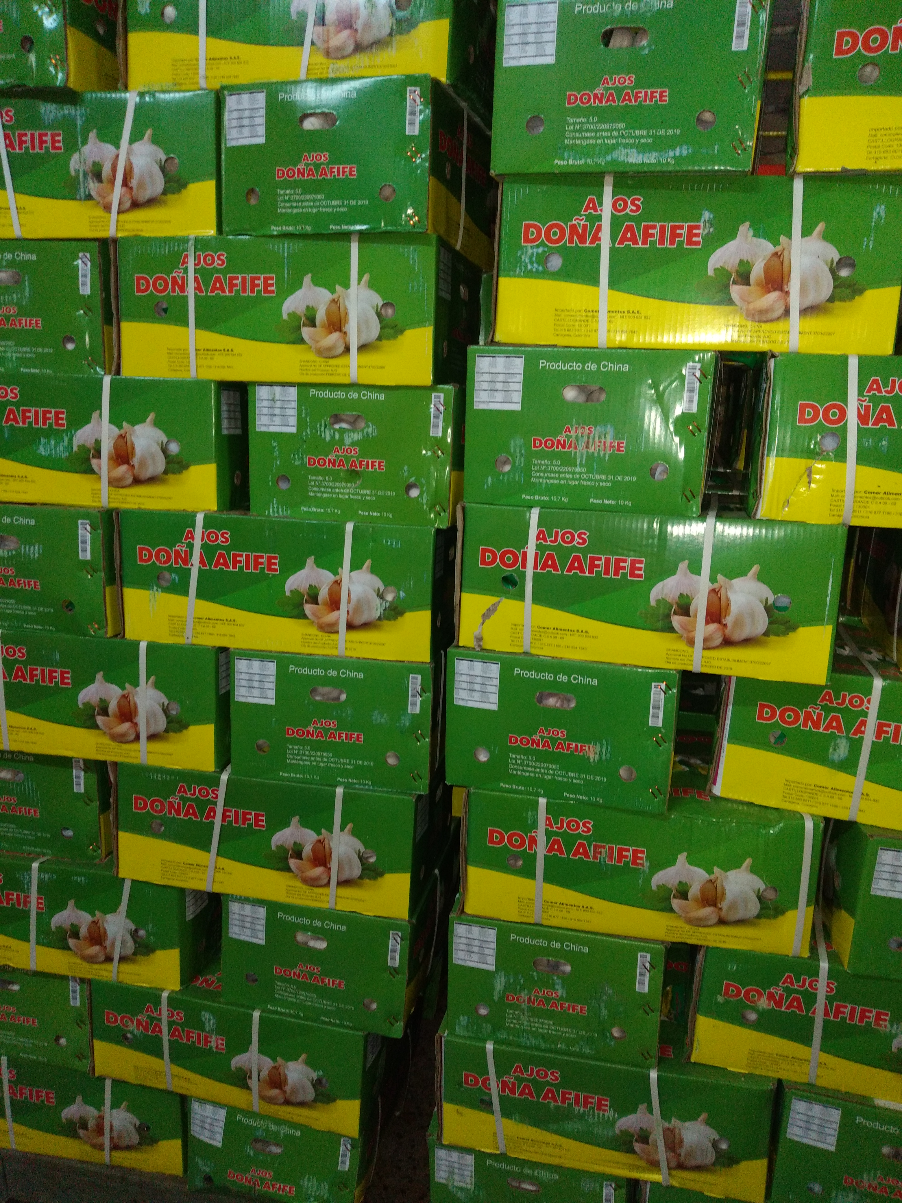 Ajo en malla caja x 10 kg