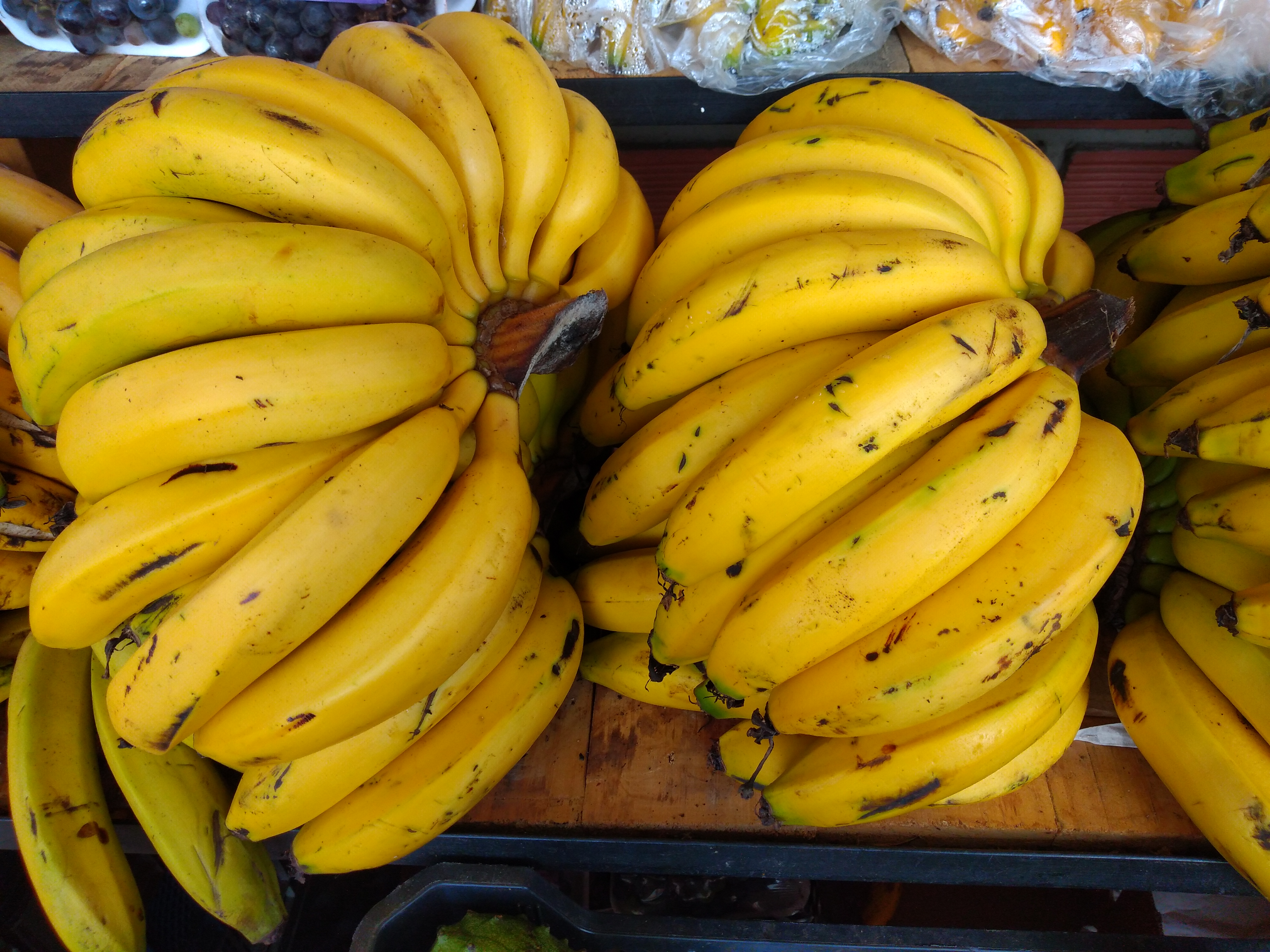 Banano criollo