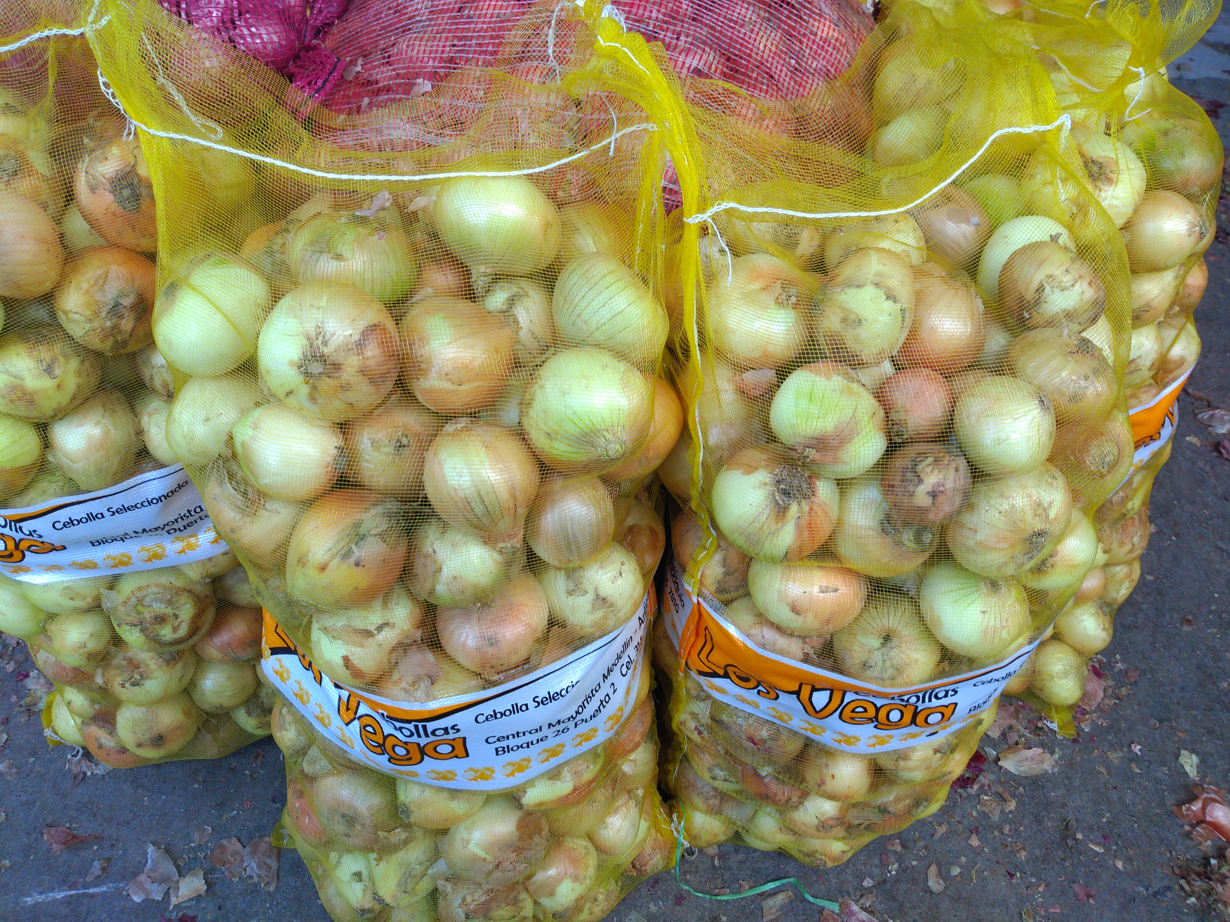 Tula de cebolla x 22 kg
