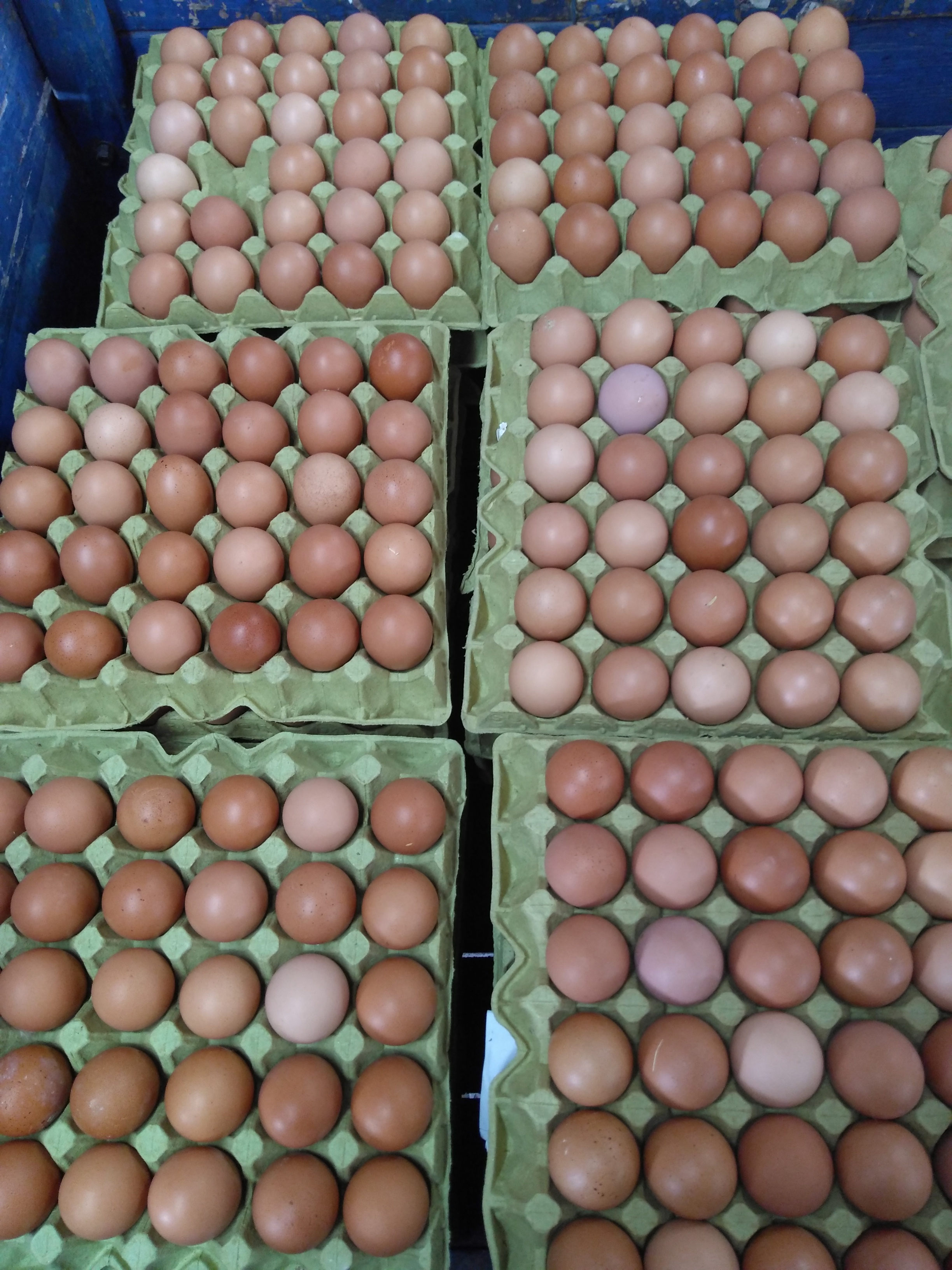 Huevos tipo A