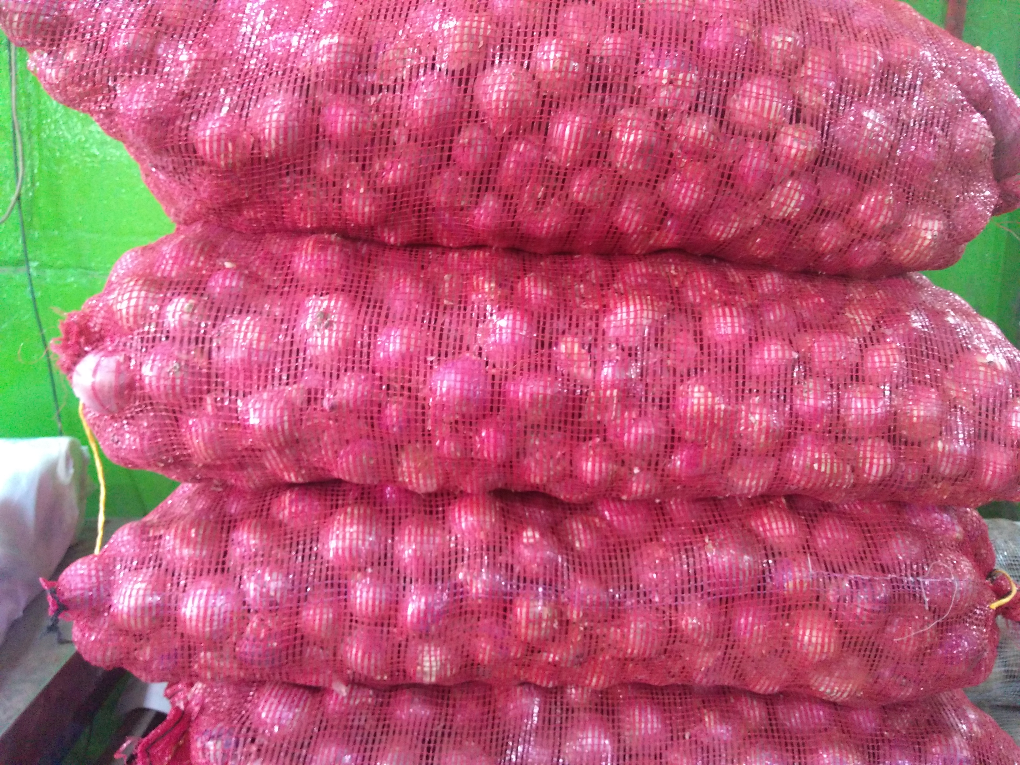 Cebolla roja peruna