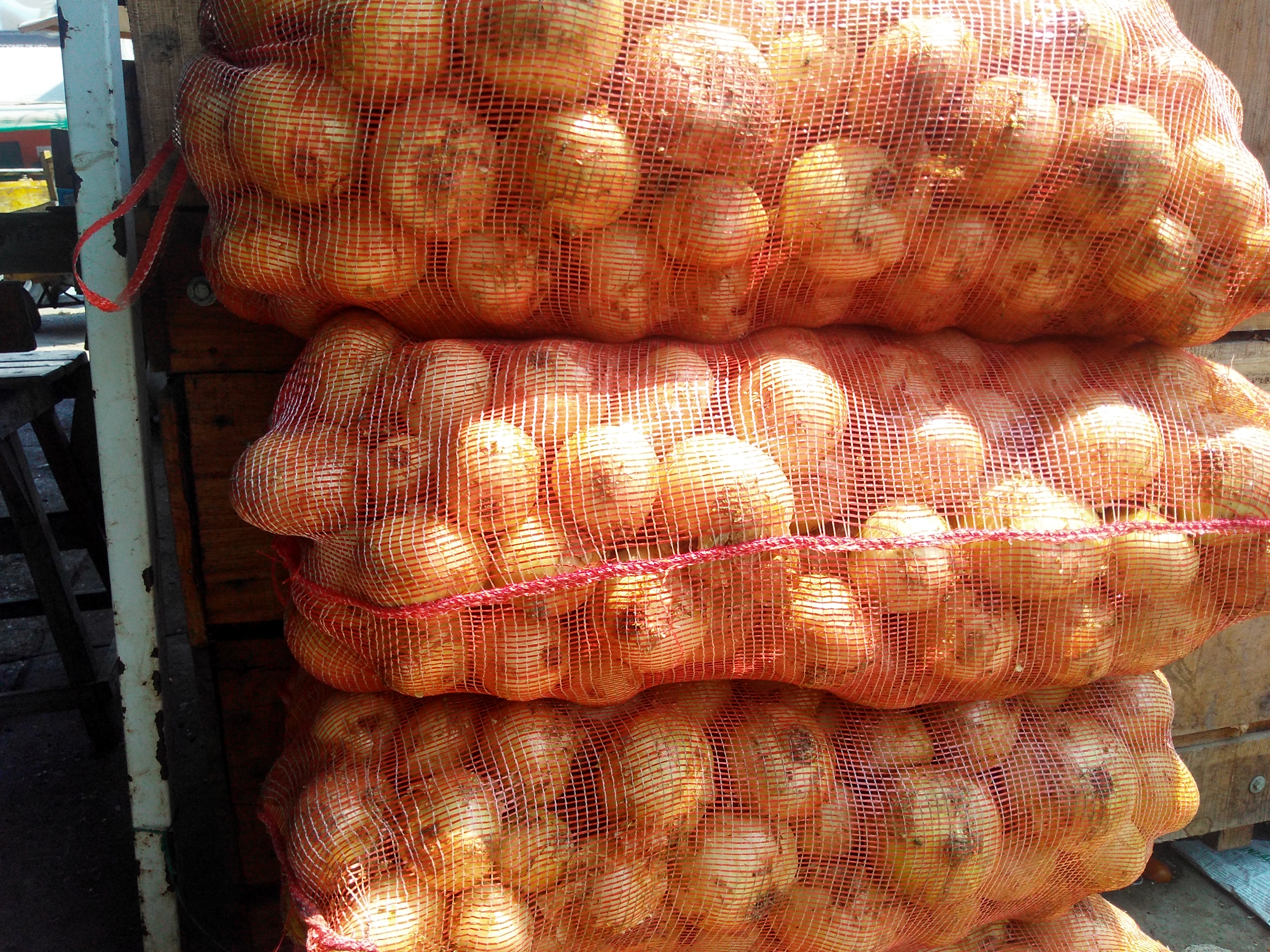 Cebolla blanca