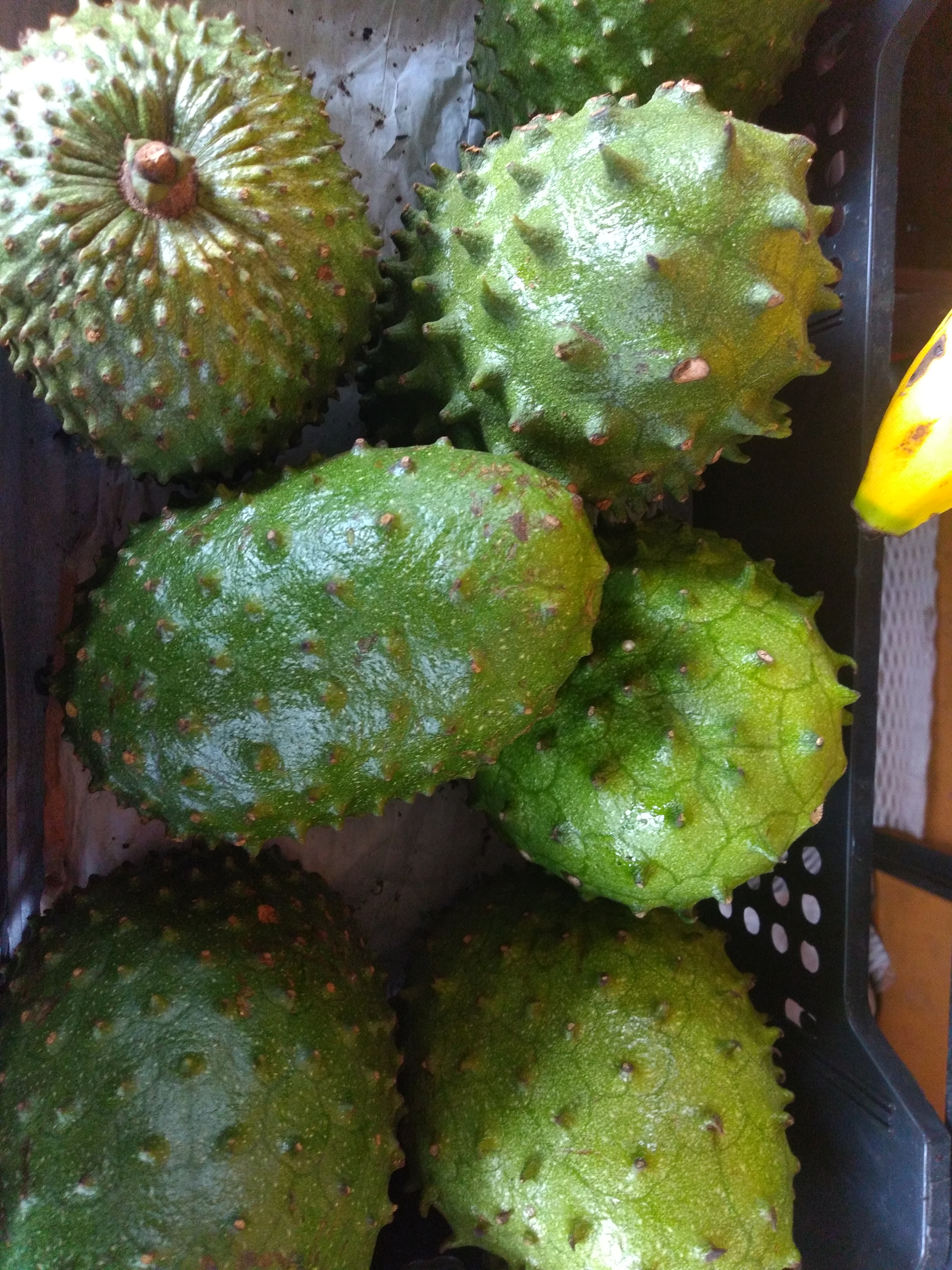 Guanabana
