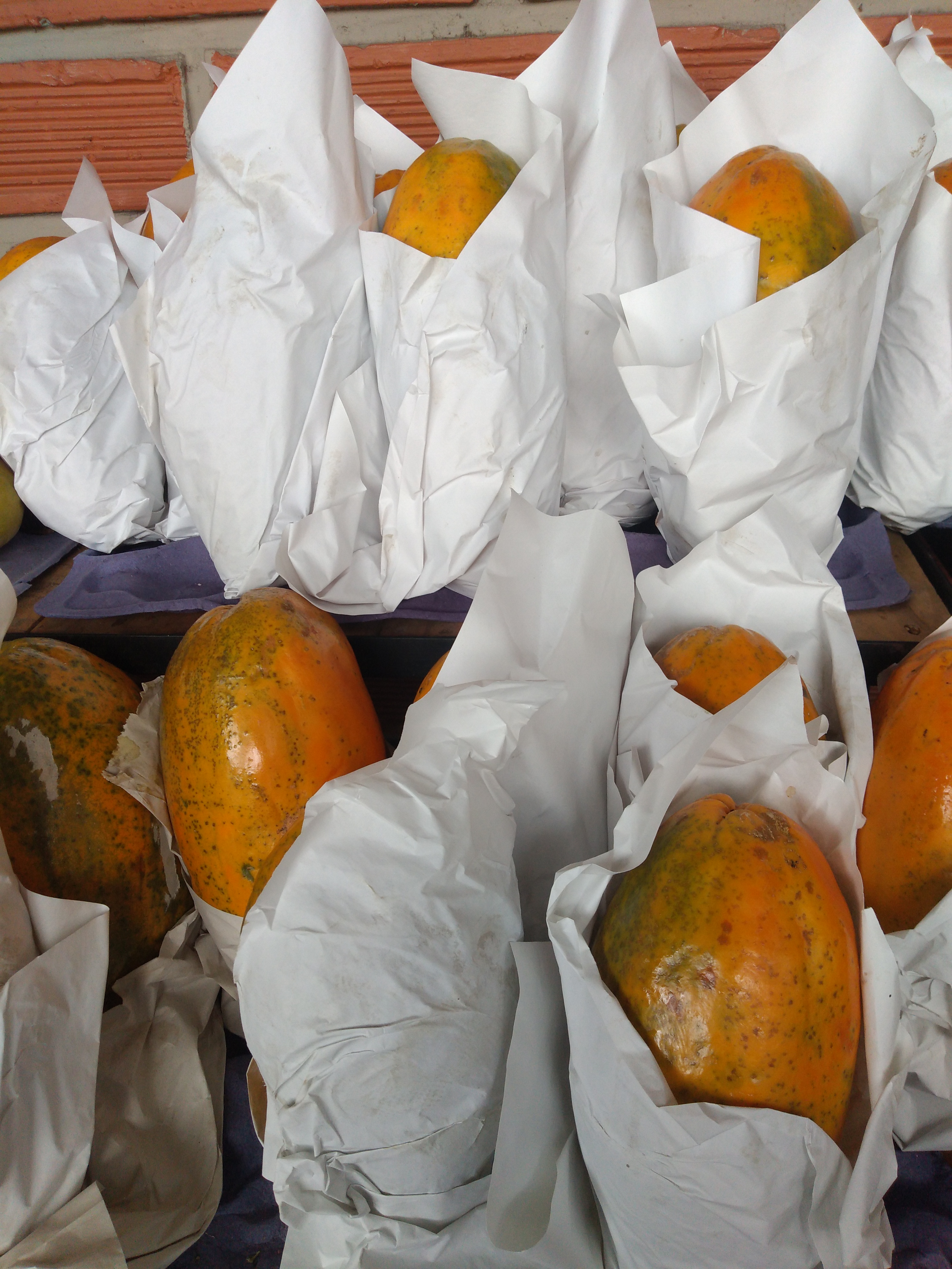 Papaya maradol