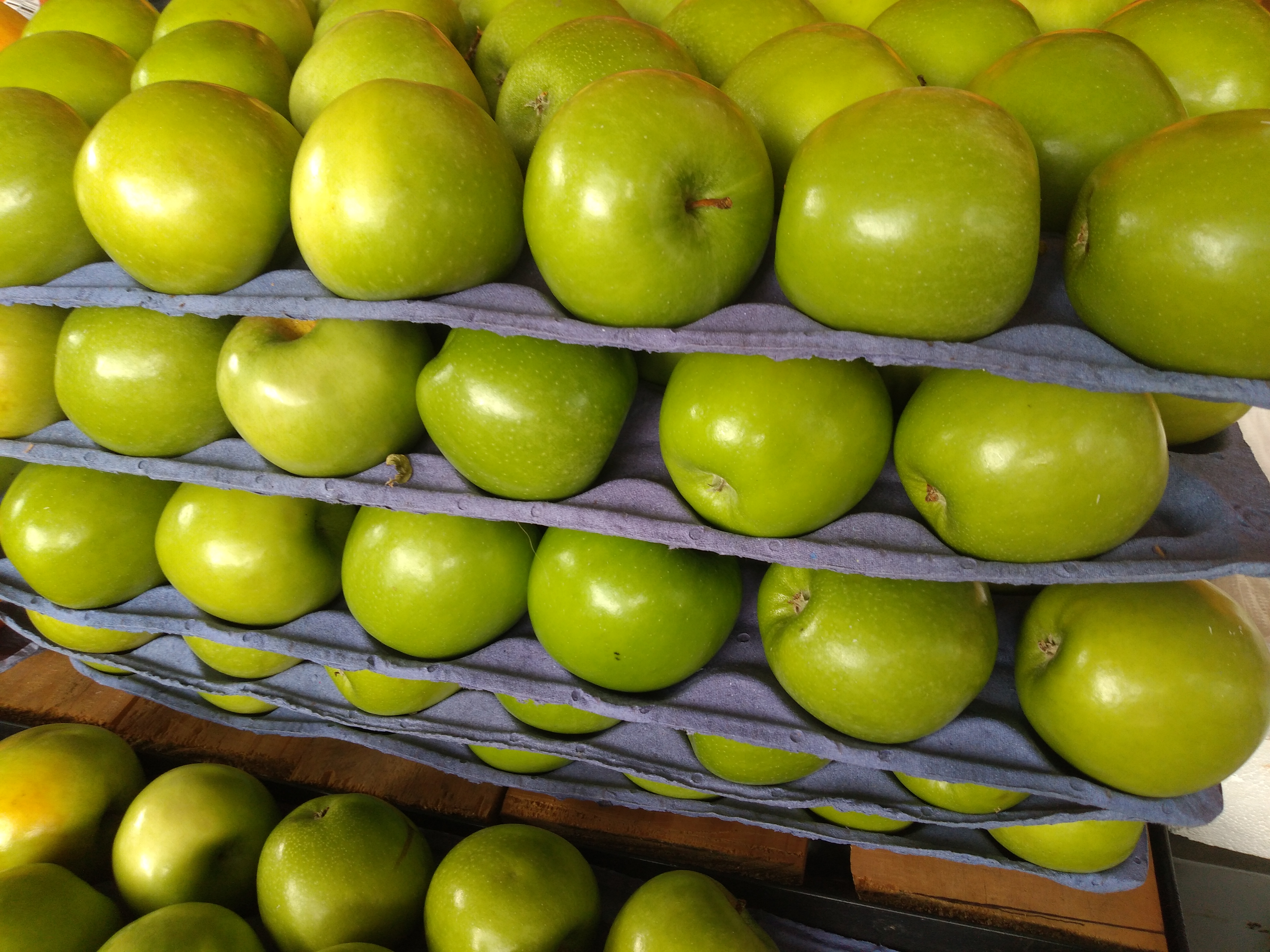 Manzana verde