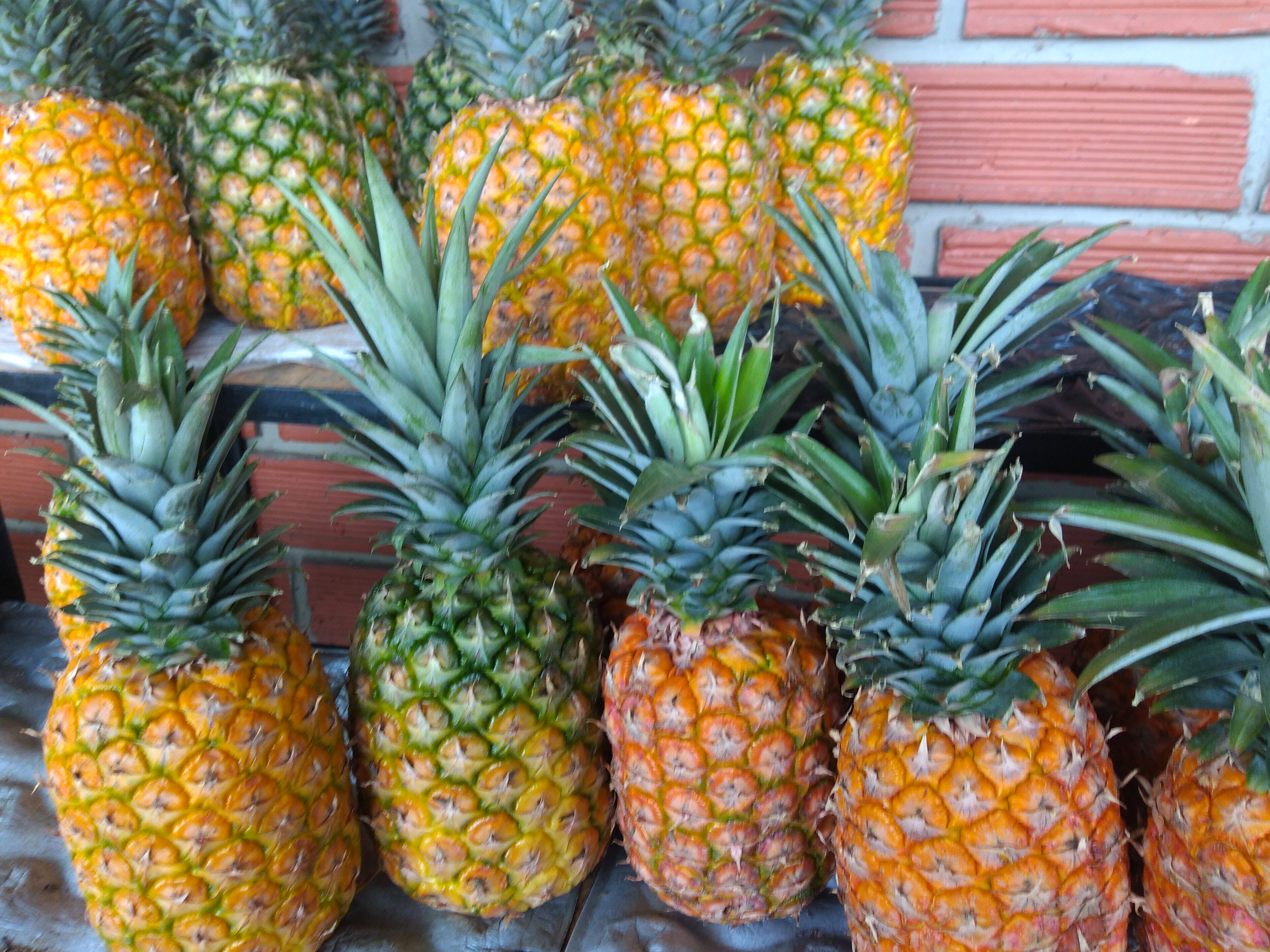 Piña oromiel