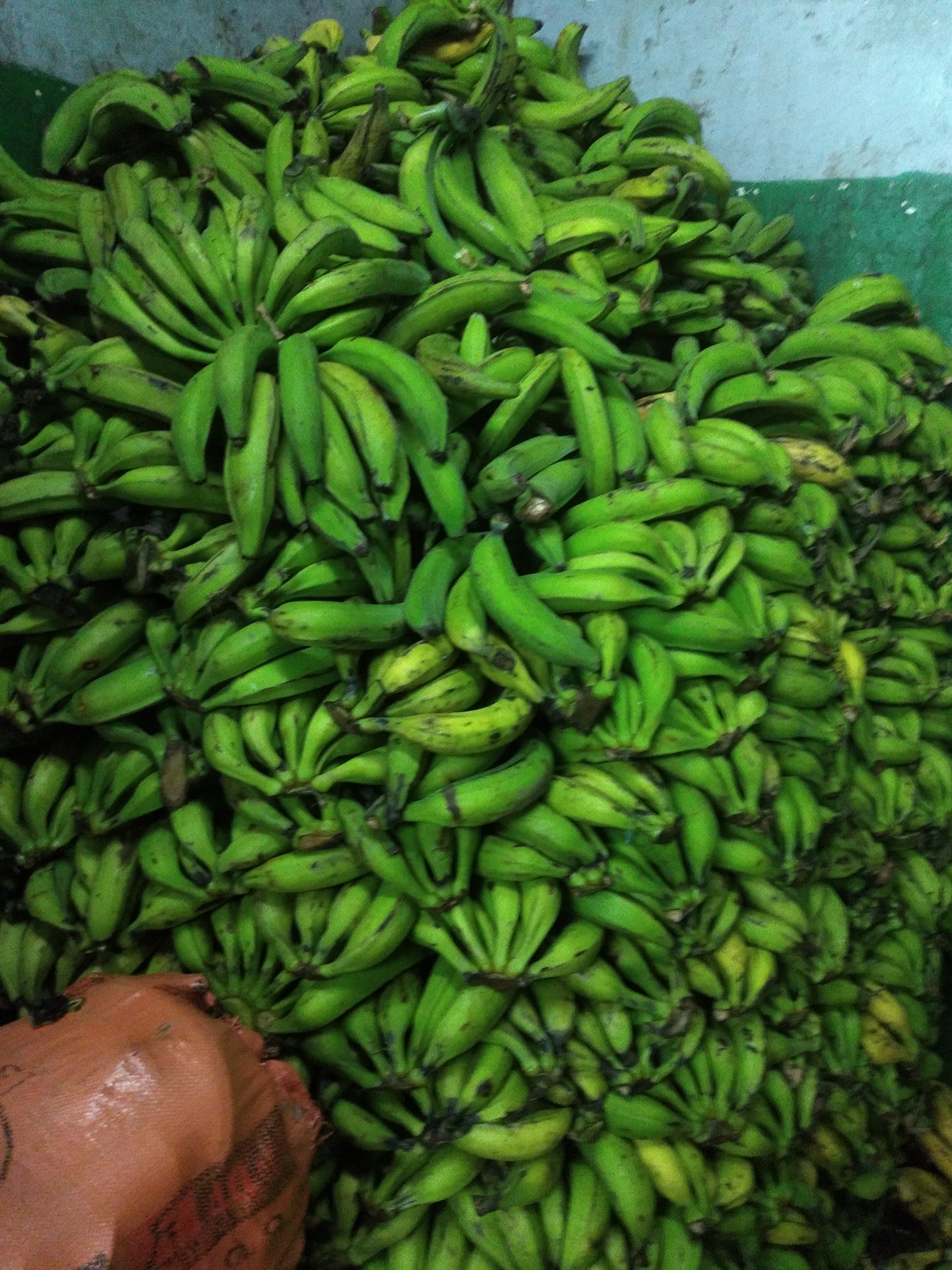 Plátano verde