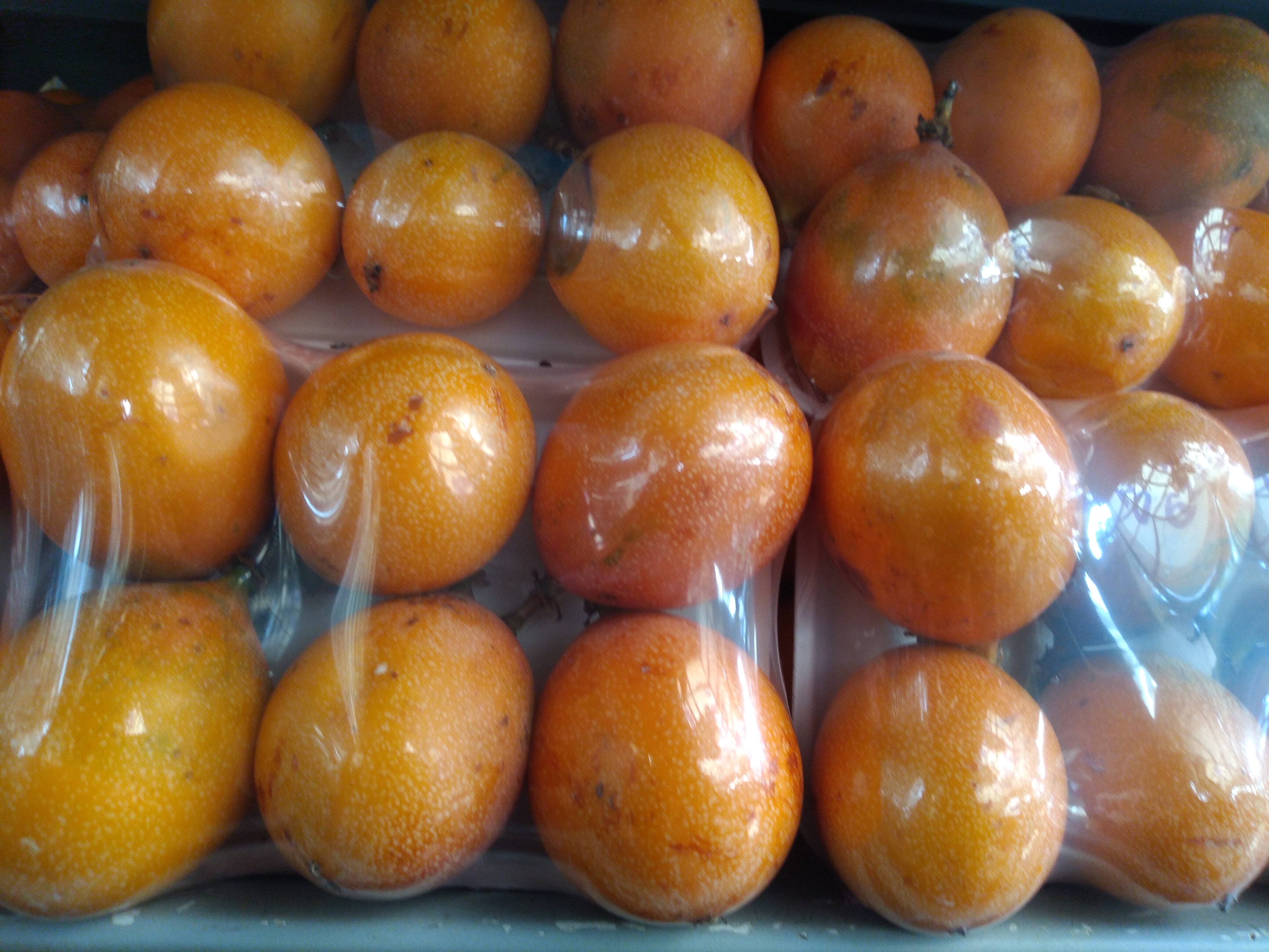 Granadilla