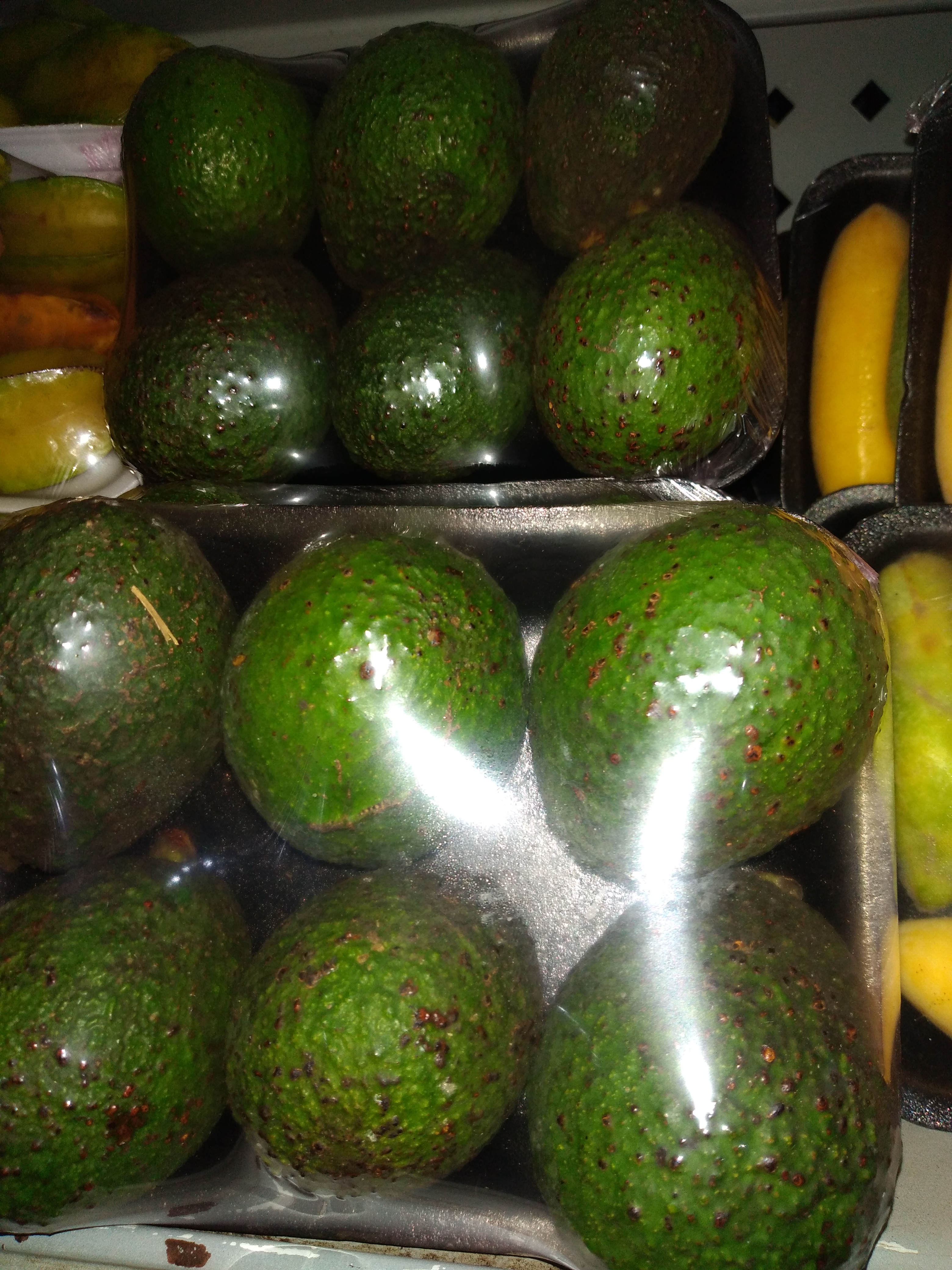 Aguacate Hass