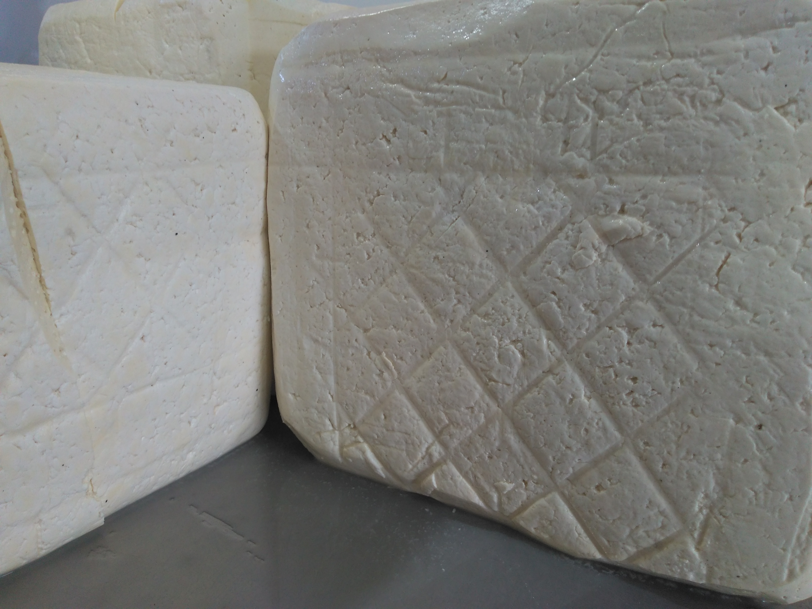 Queso criollo
