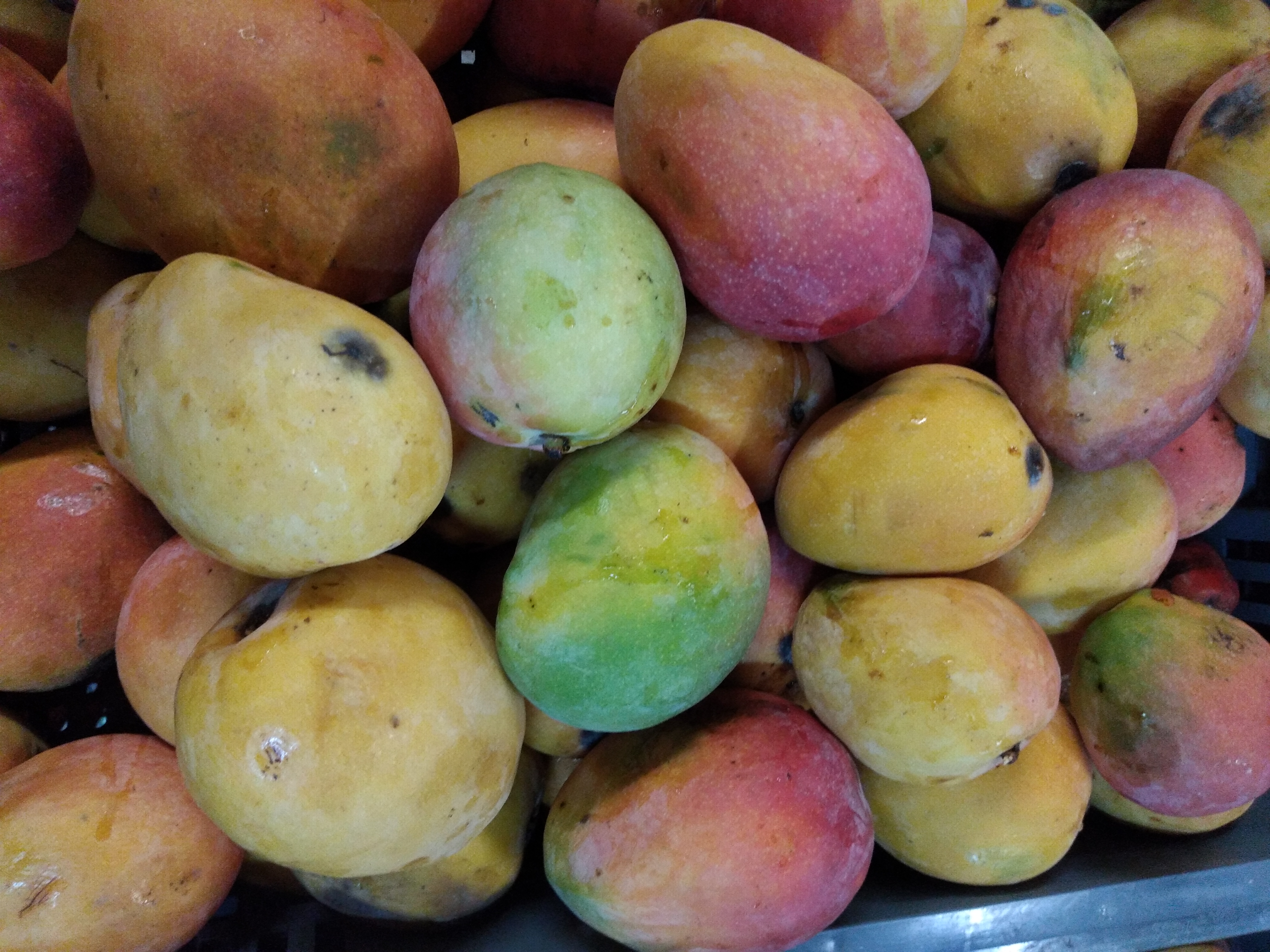 Mango manzano