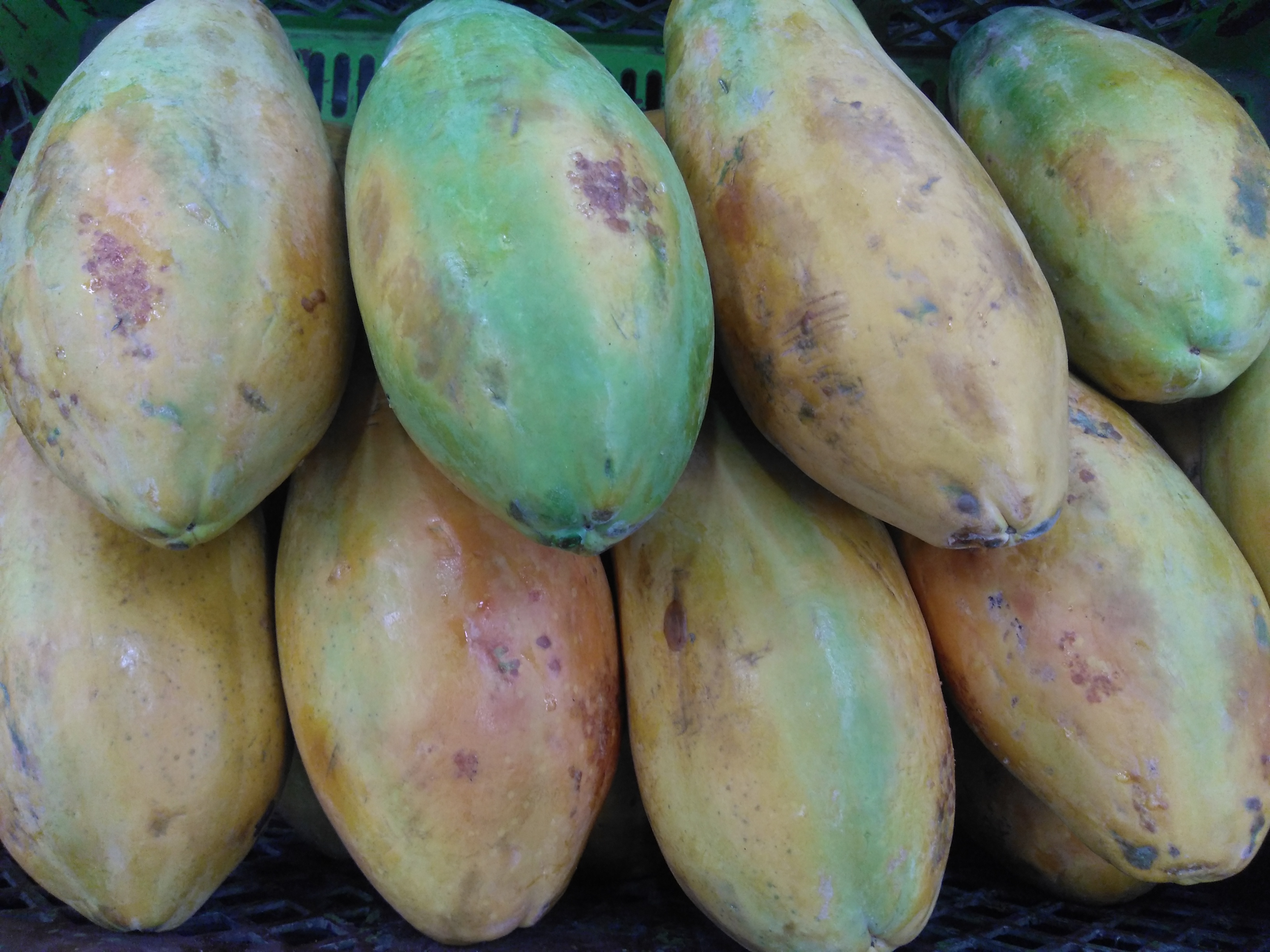 Papaya