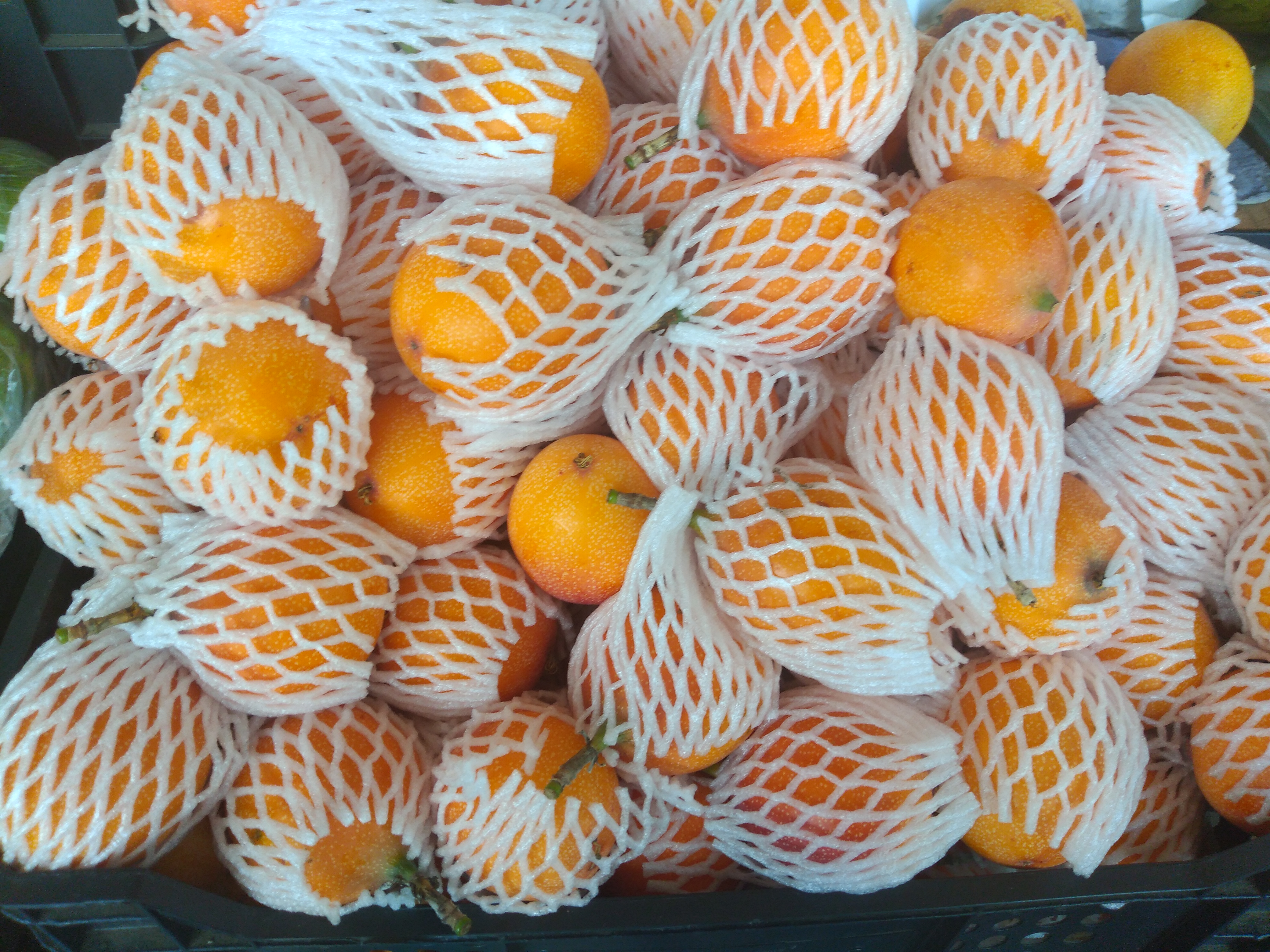 Granadilla