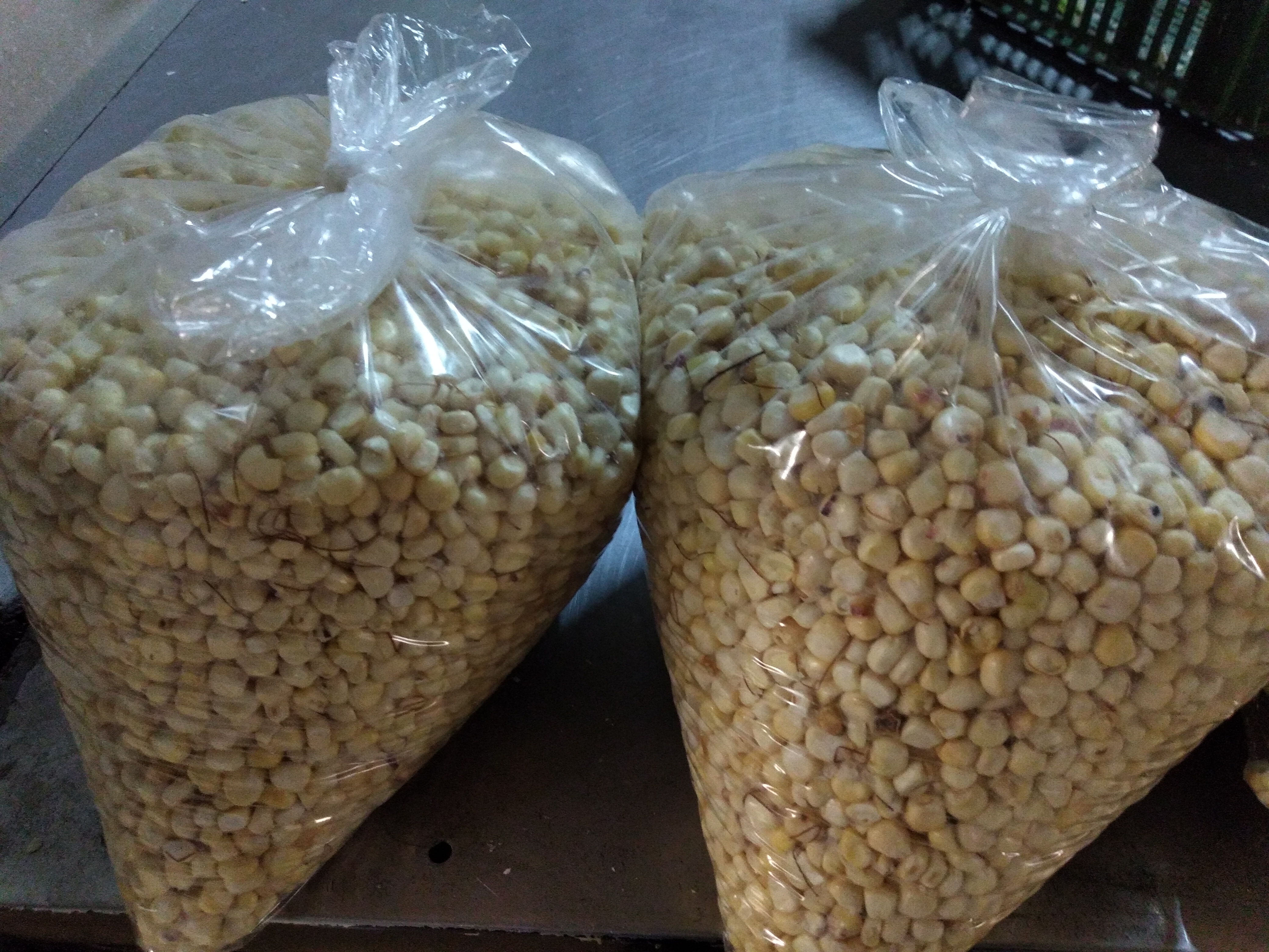 Maíz degranado x 5 kg
