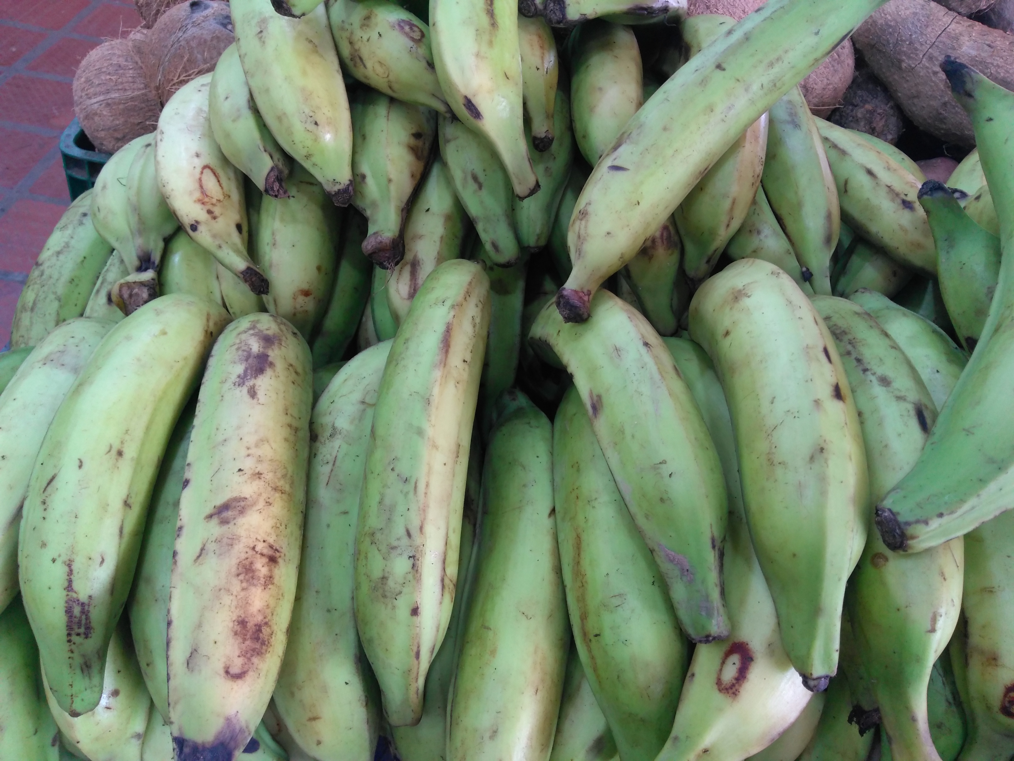 Plátano verde