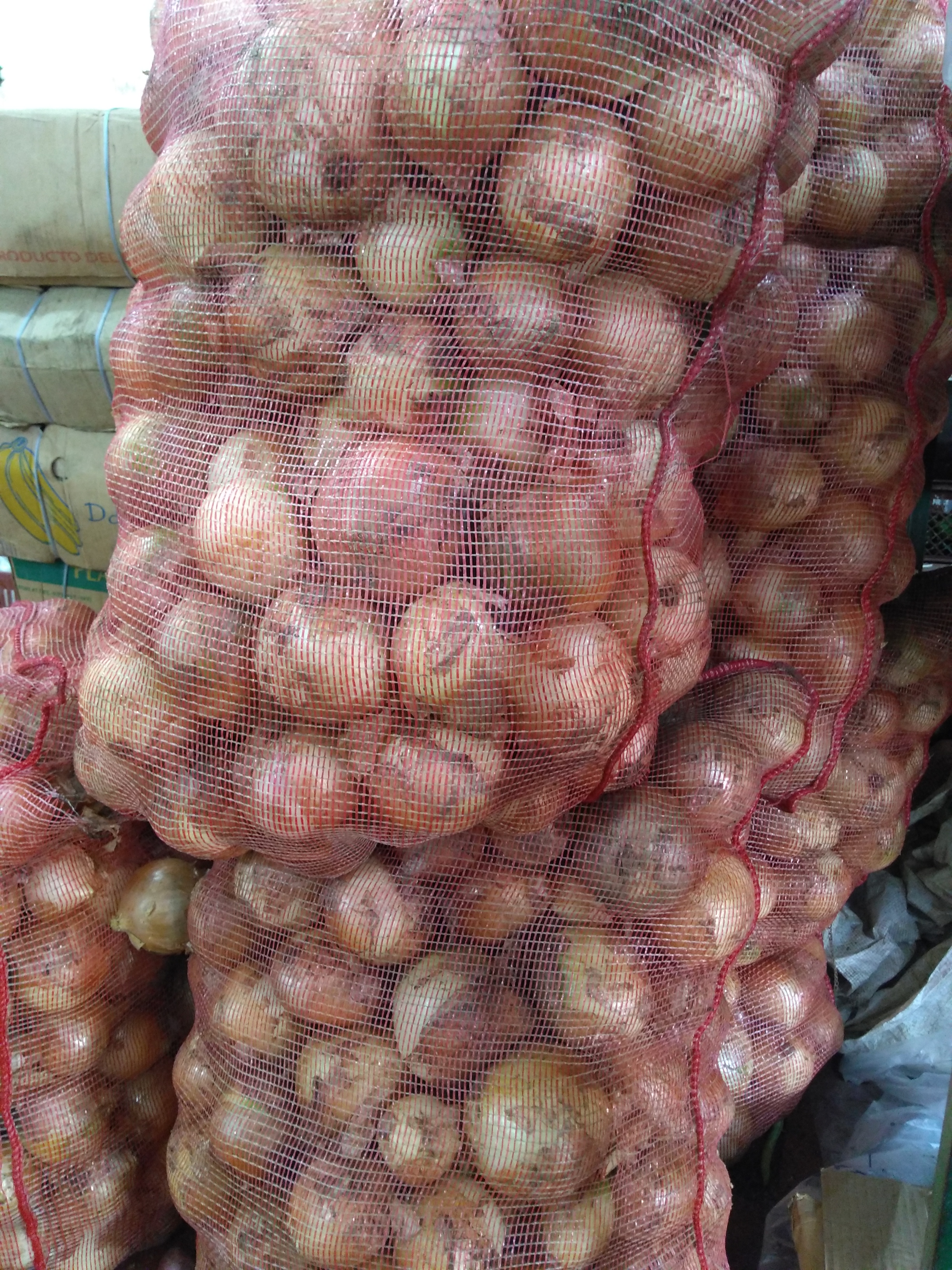 Cebolla blanca sucia