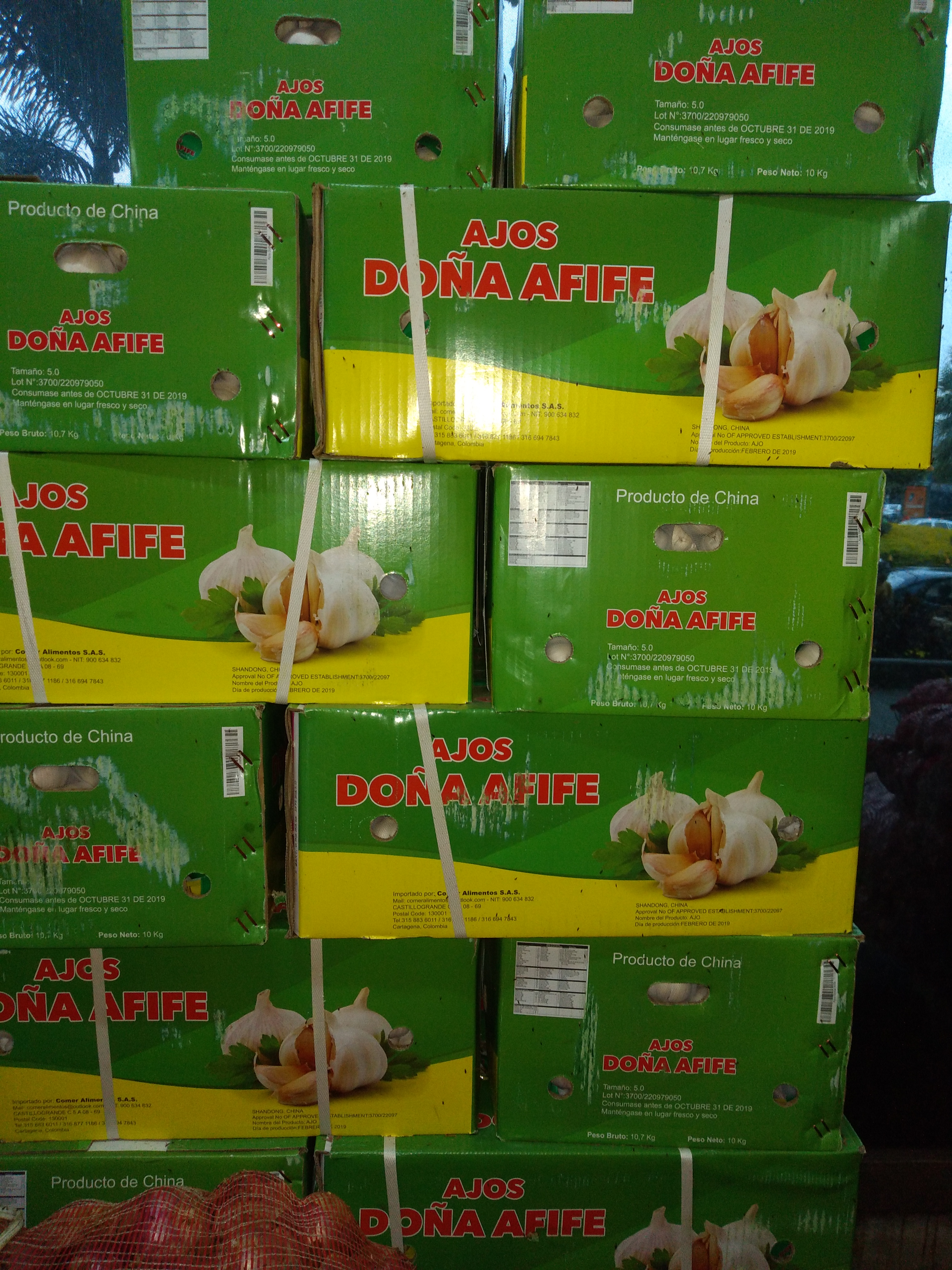 Ajo en malla