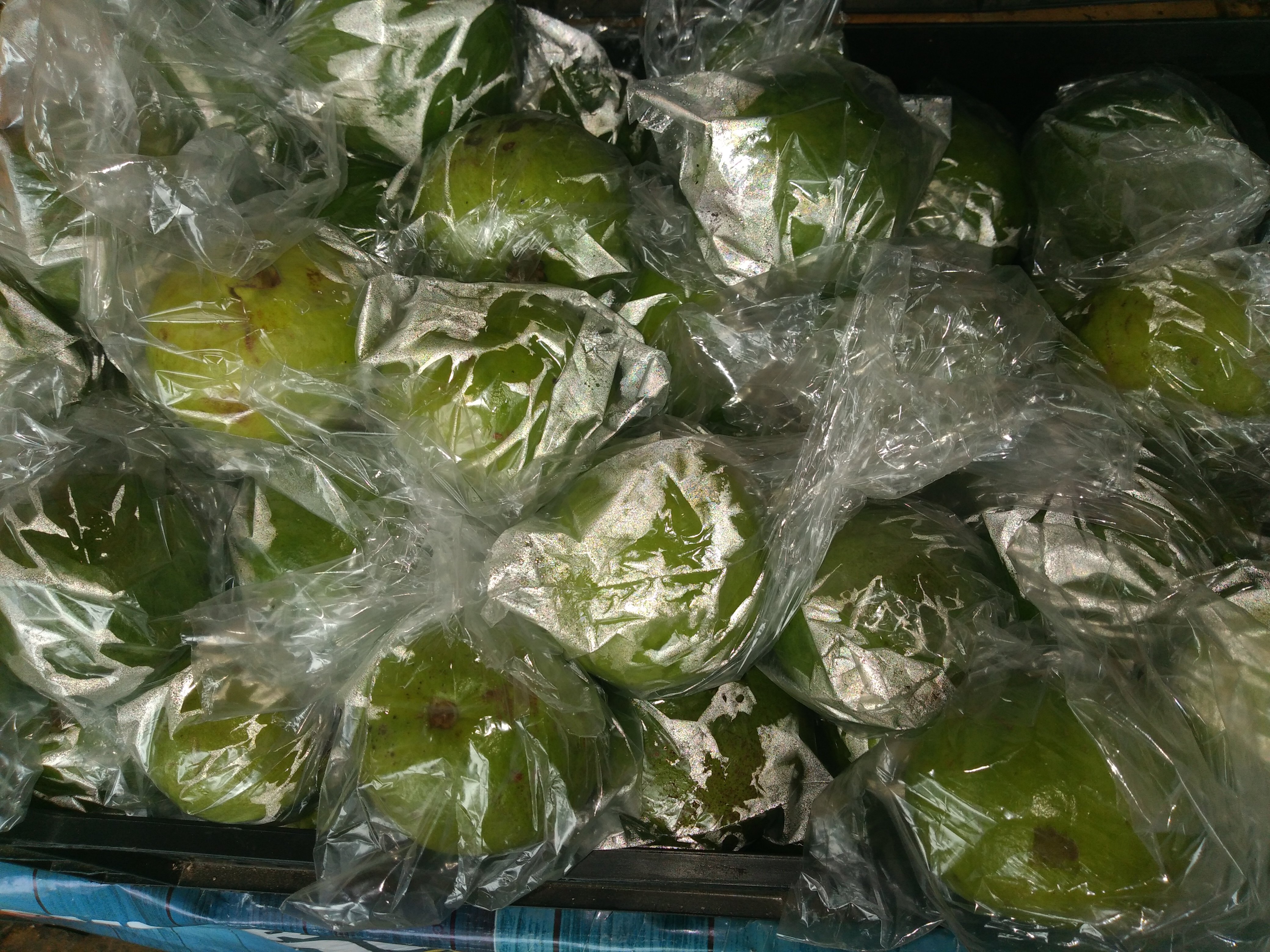 Guayaba manzana