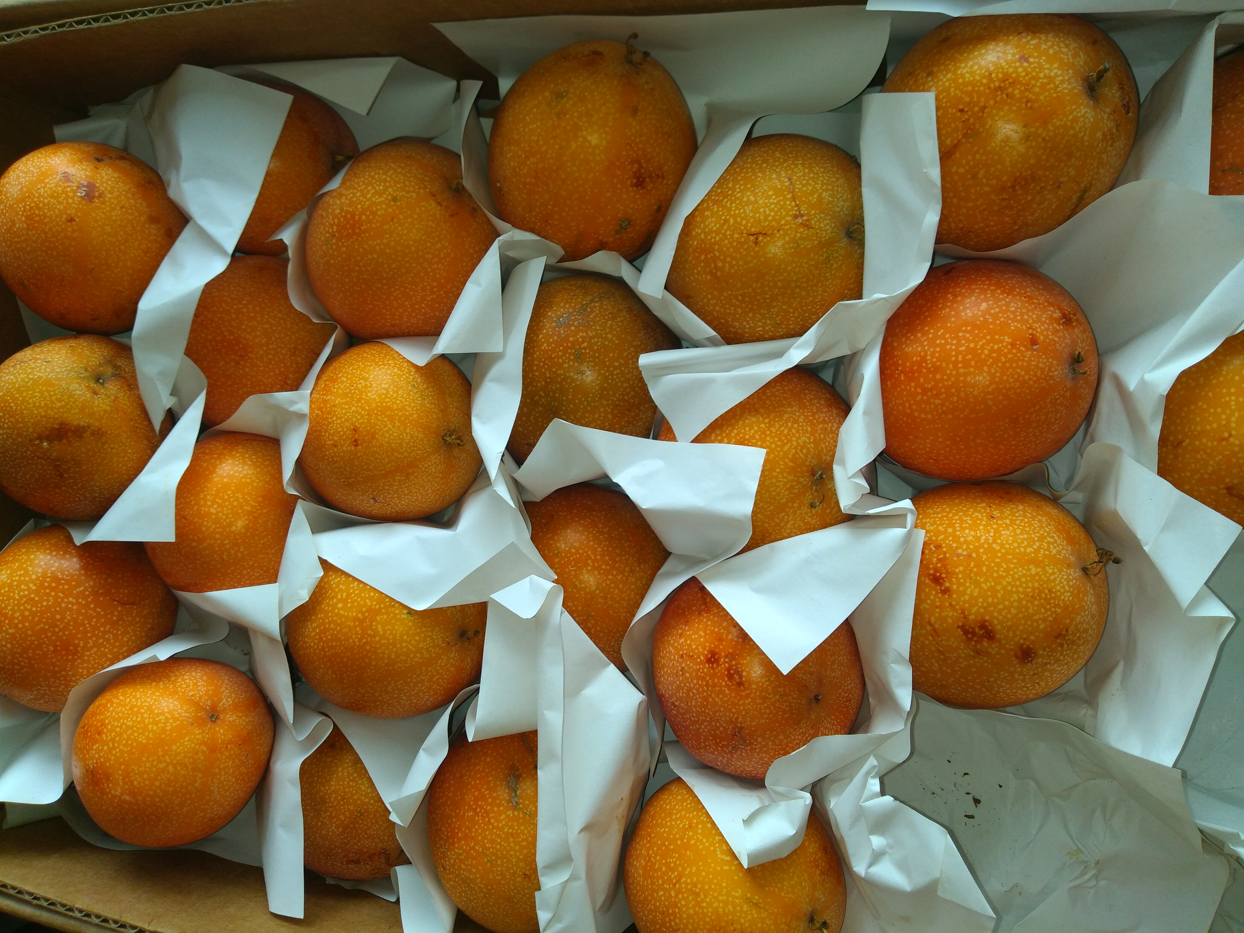 Granadilla