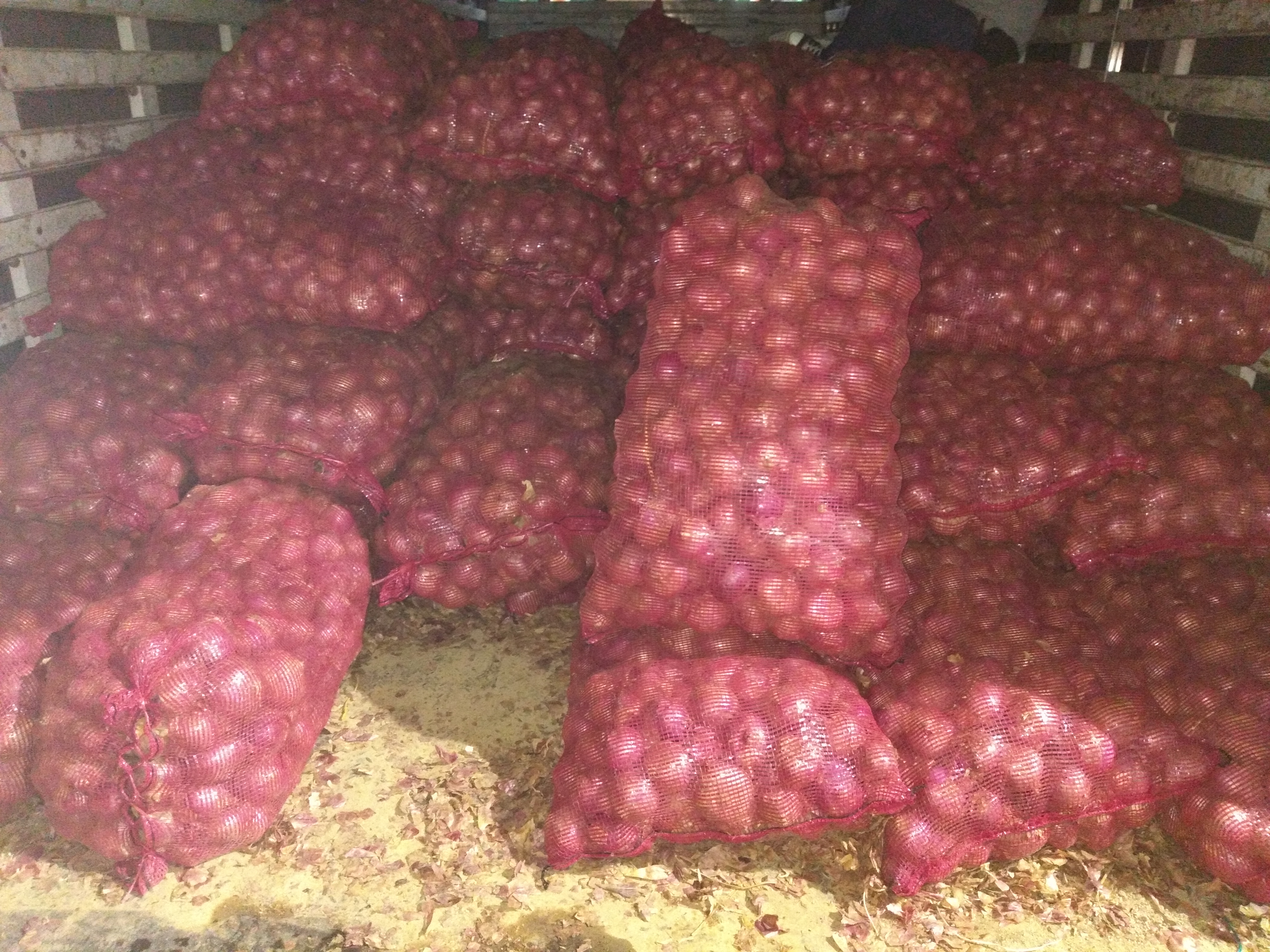 Cebolla roja bulto x 44 Kg