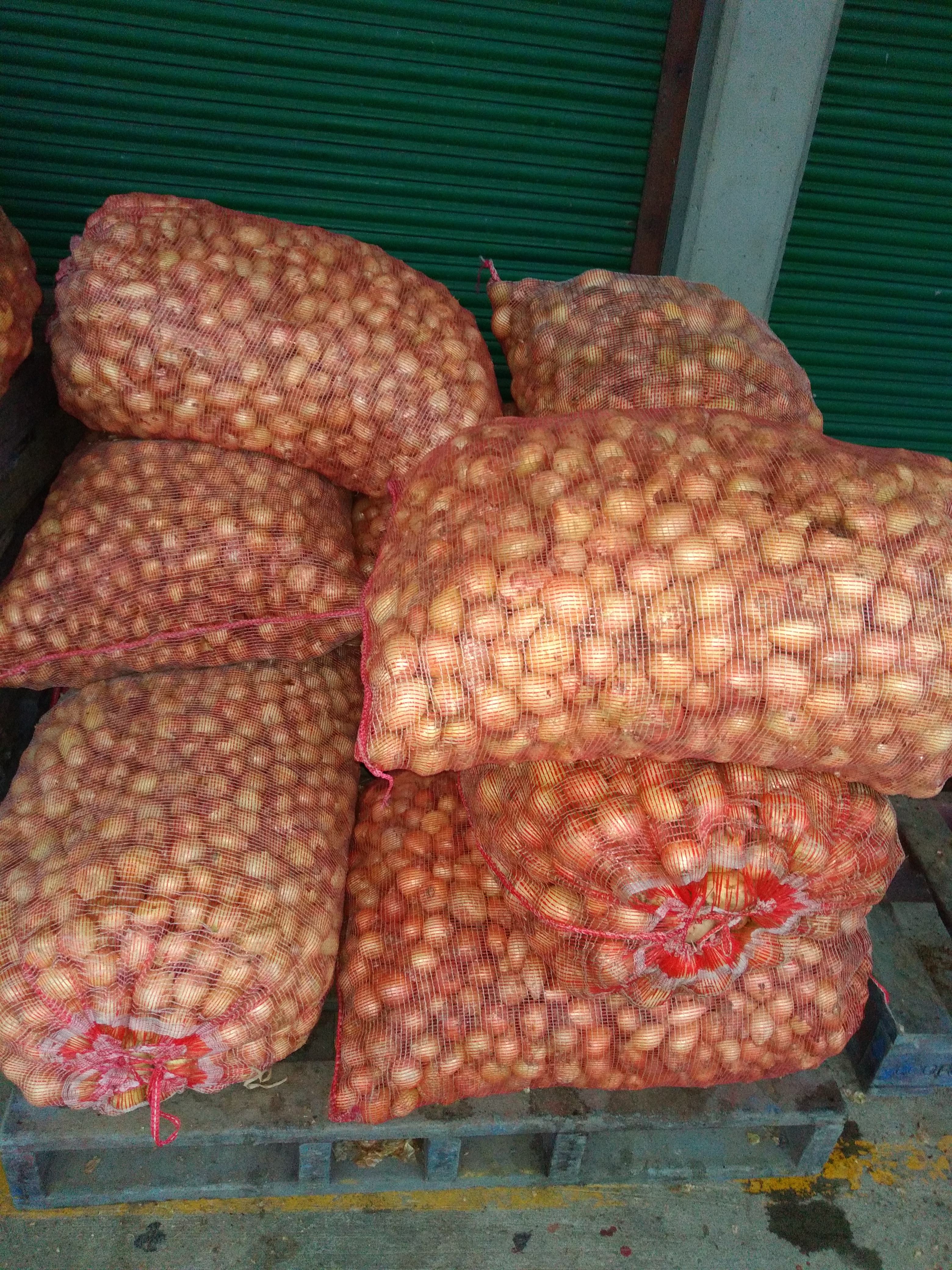 Cebolla blanca bultos x 48 kg