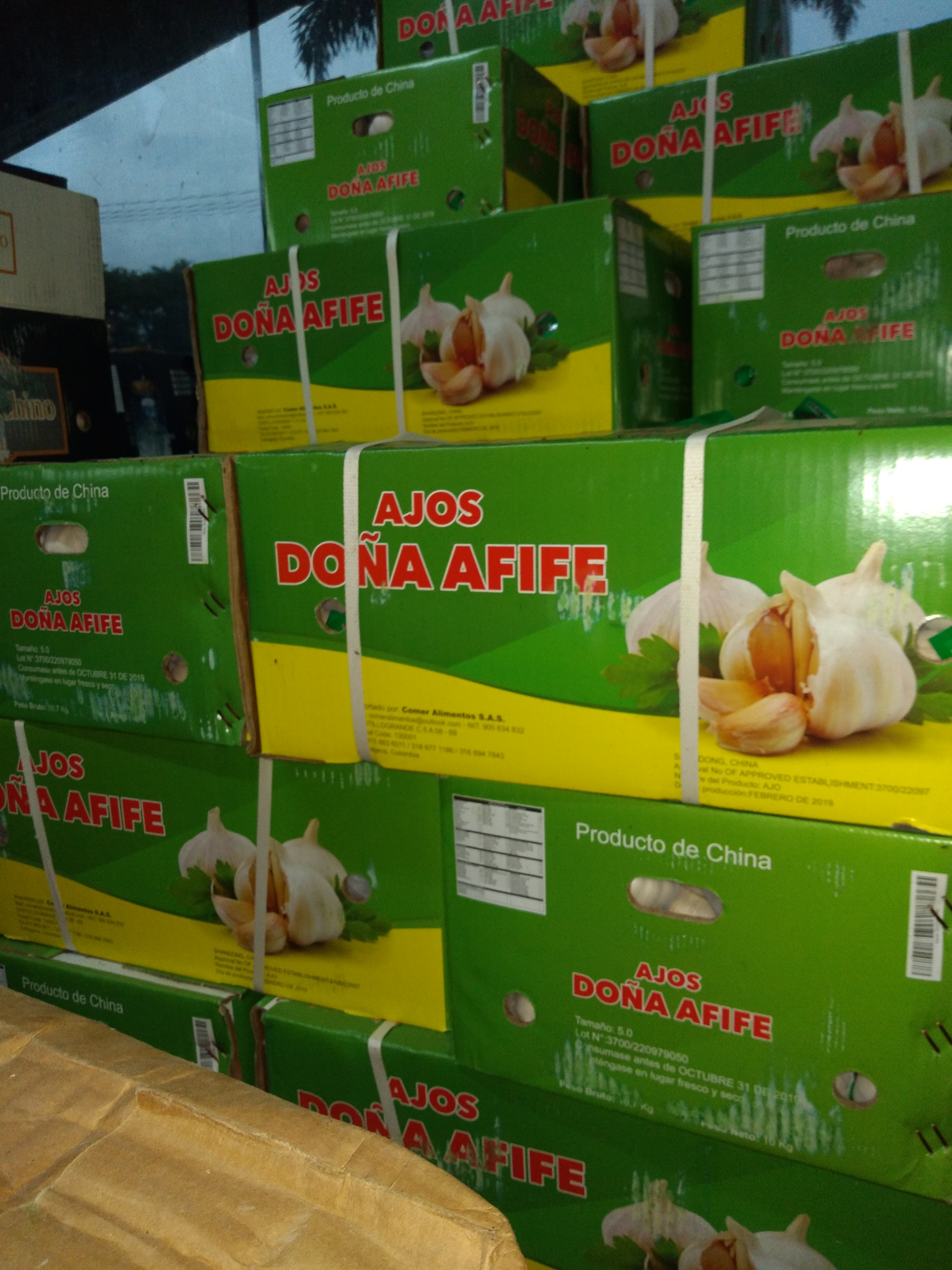 Ajo en malla caja x 10 kg