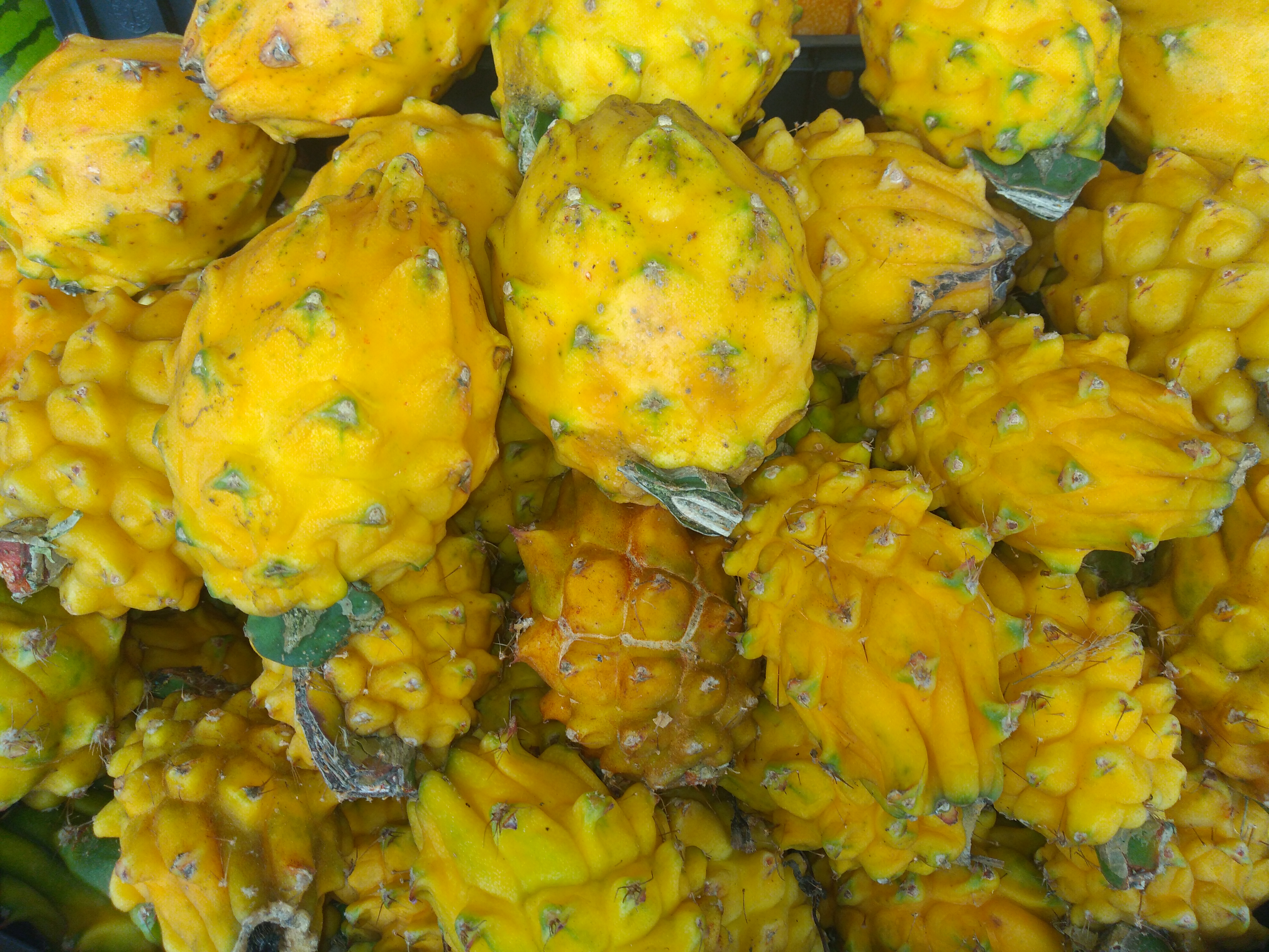 Pitaya