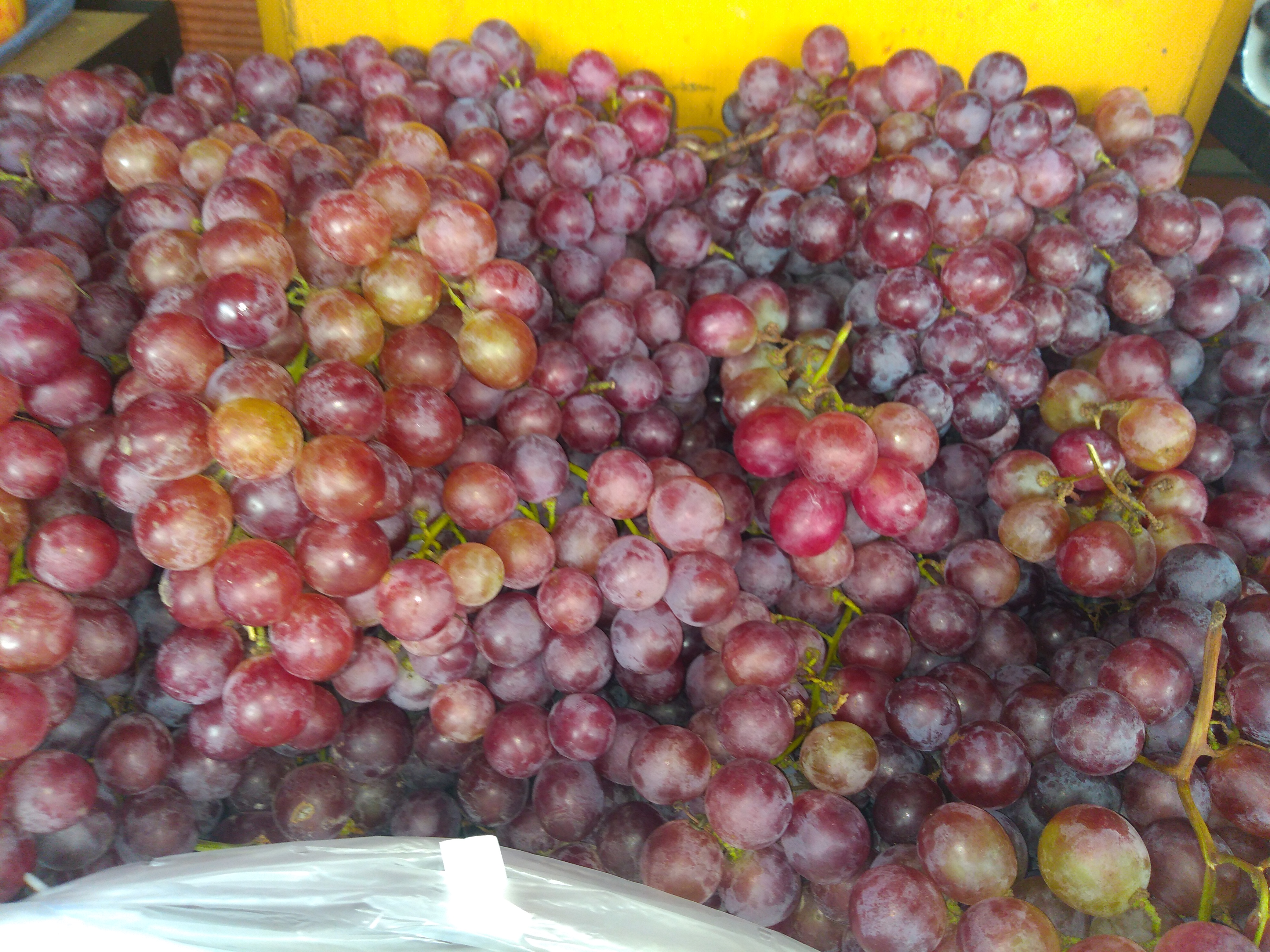 Uva nacional