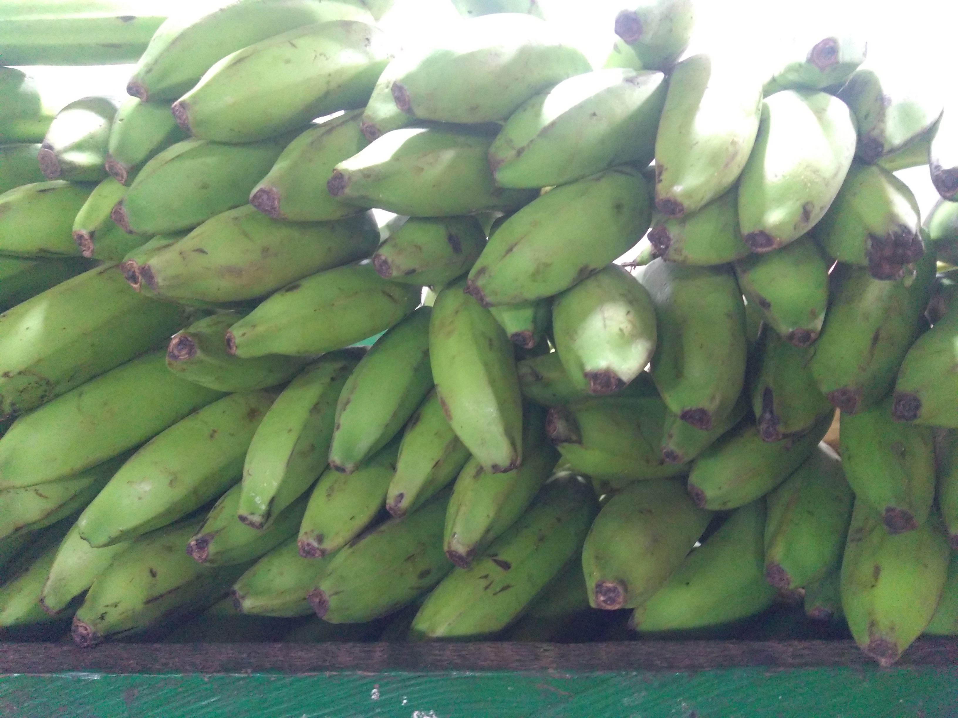 Banano verde