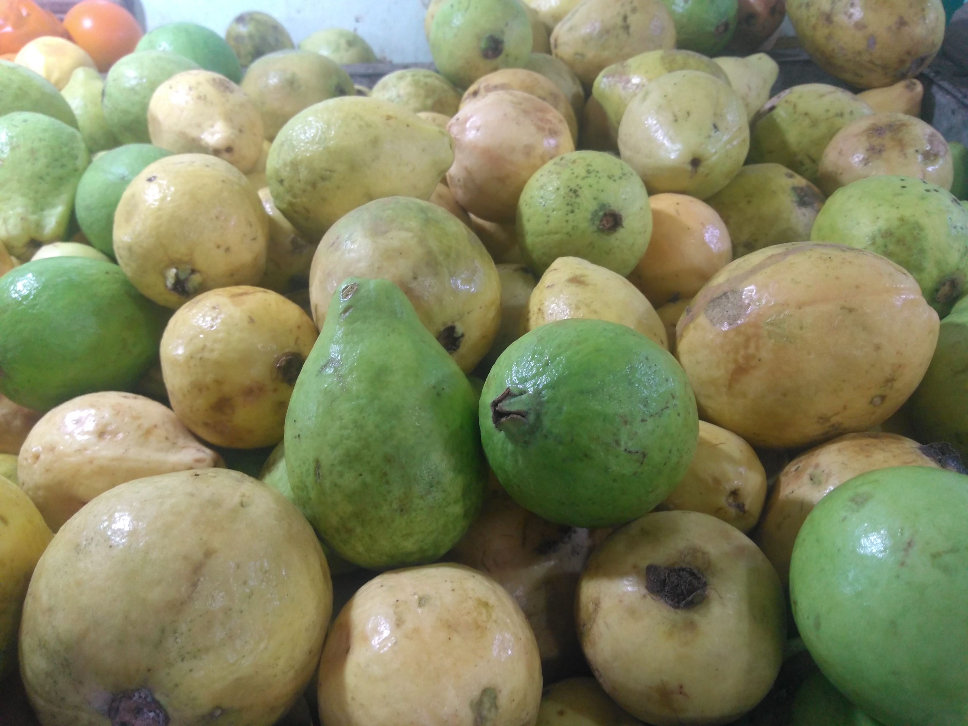 Guayaba