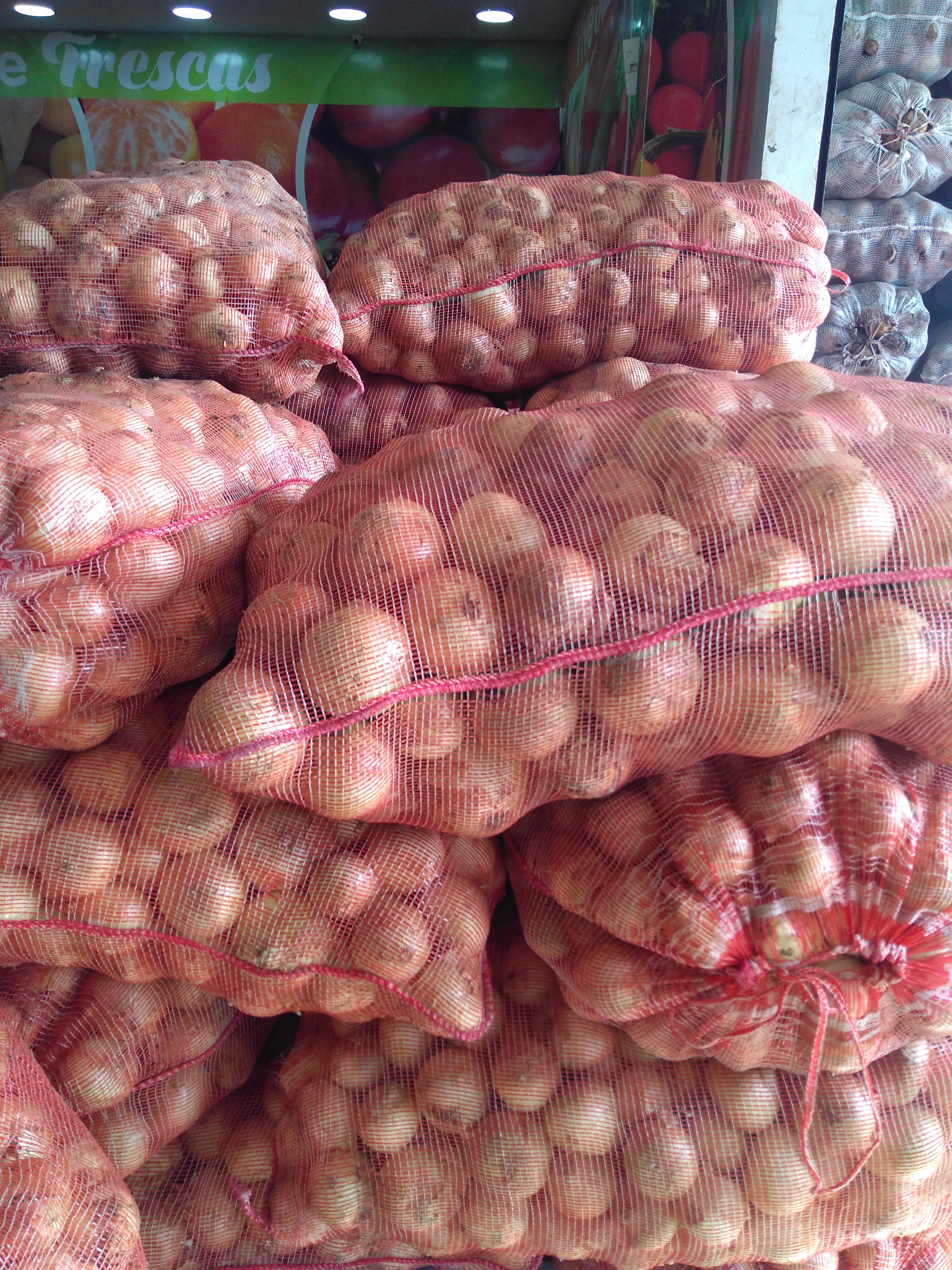 Cebolla blanca