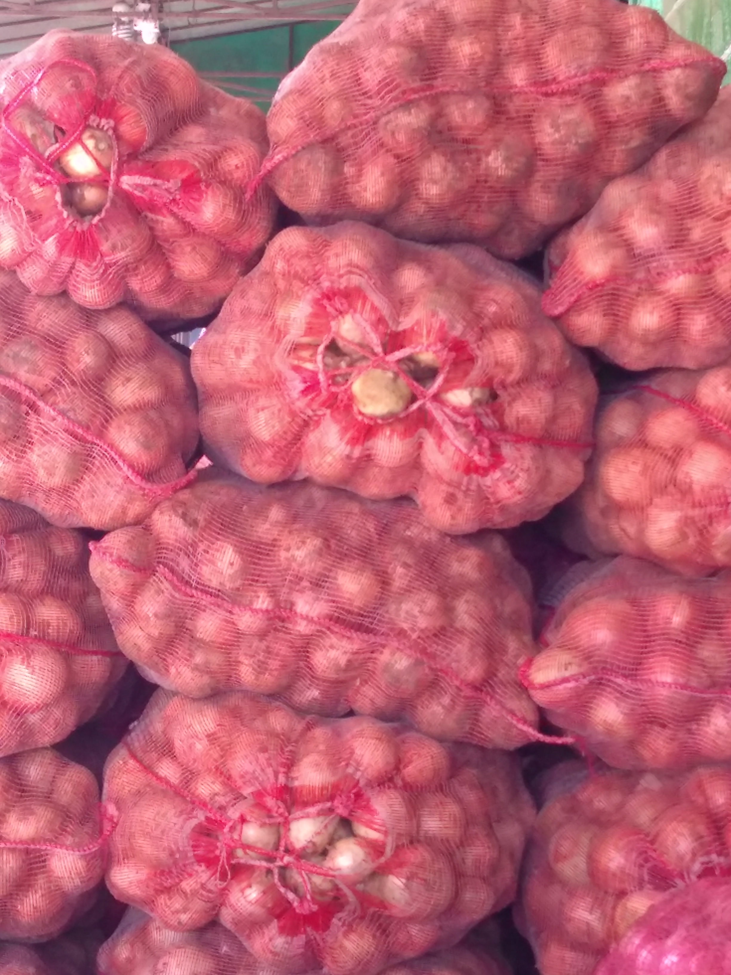 Cebolla blanca