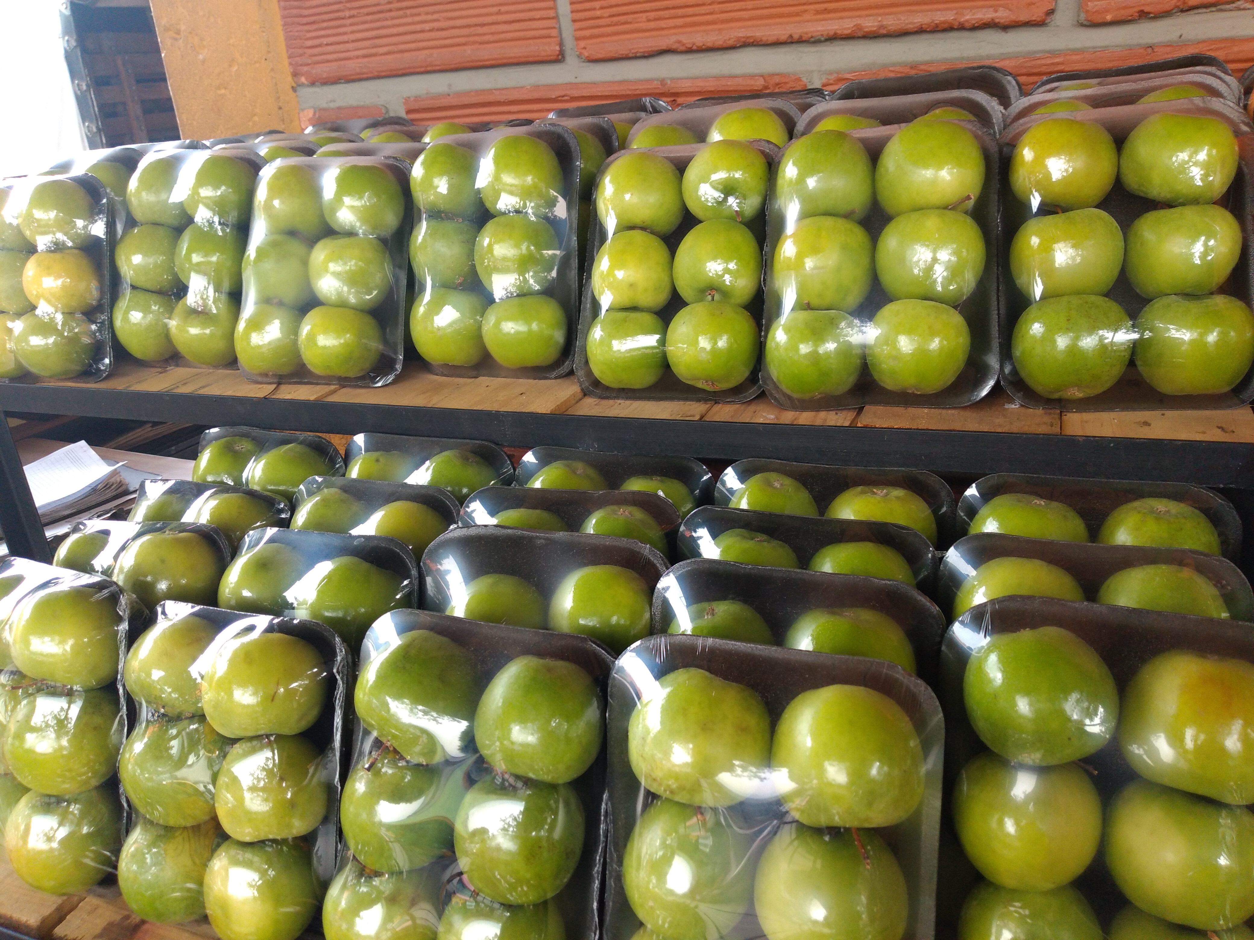 Manzana verde bandeja
