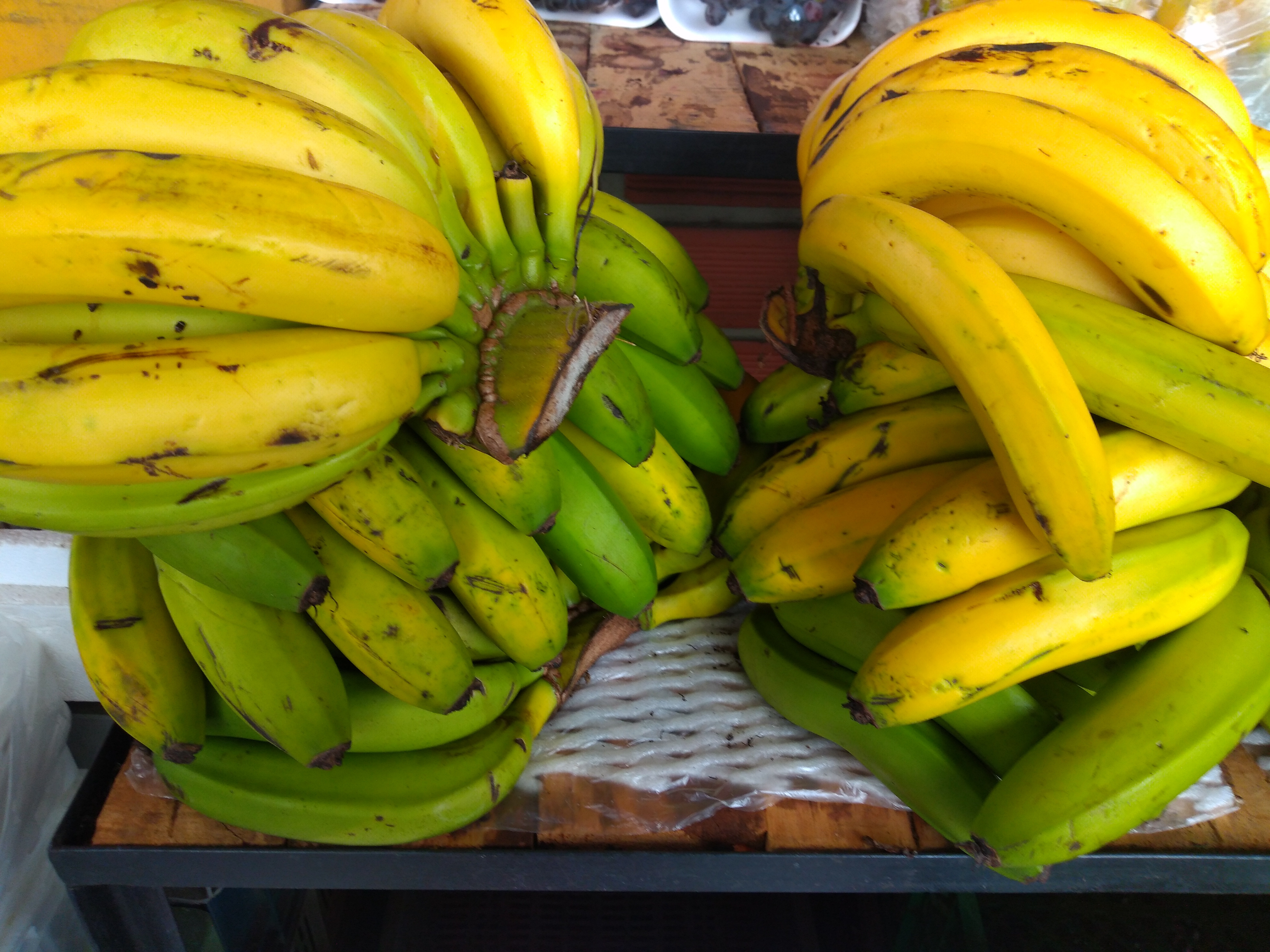 Banano criollo