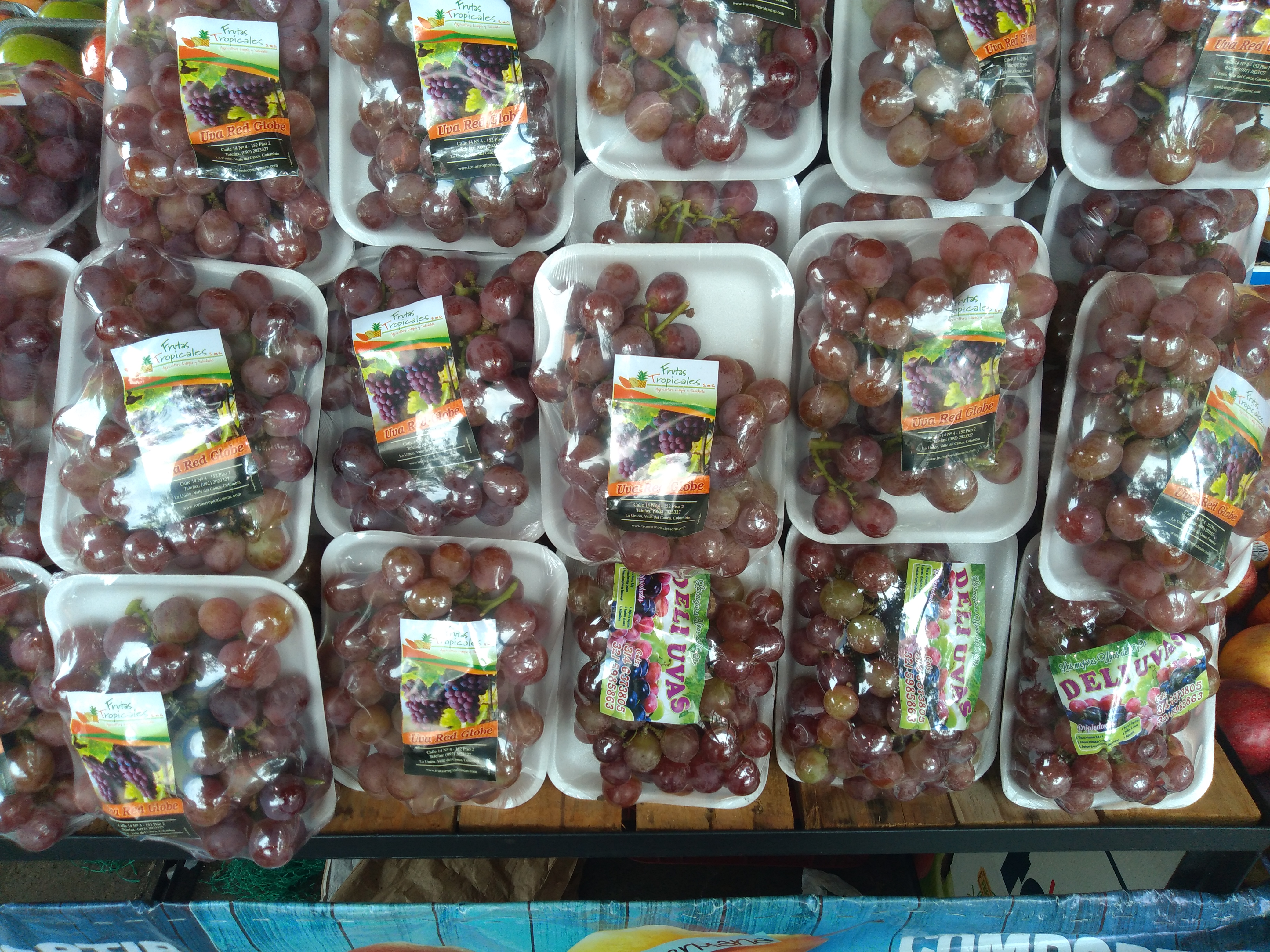 Uva Red Globe bandeja