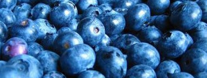 Arandano selecto