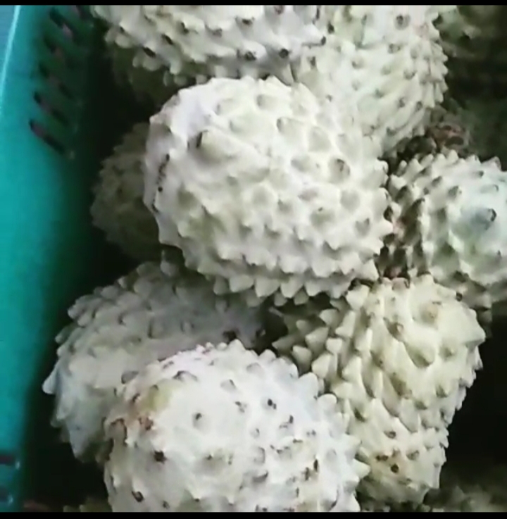 Guanabana