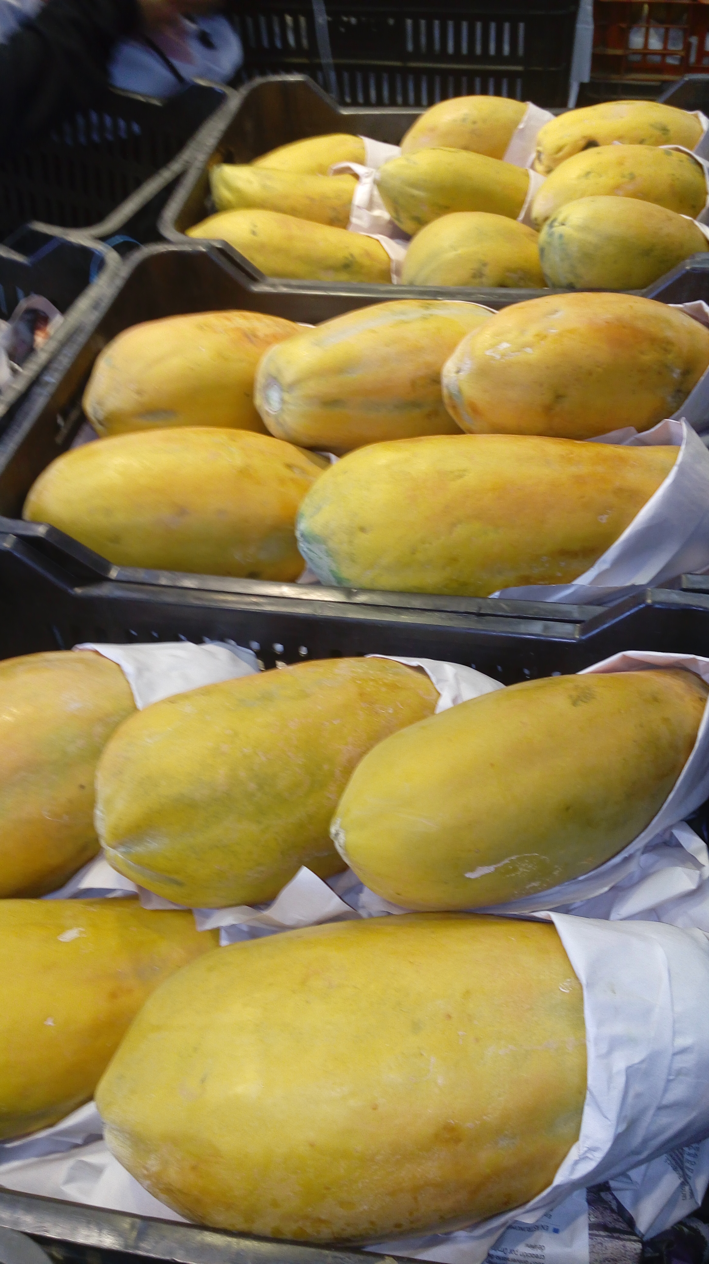 Papaya