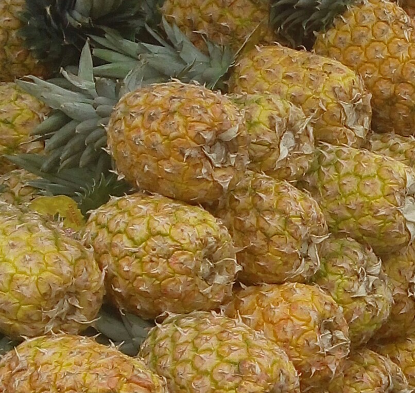 Piña