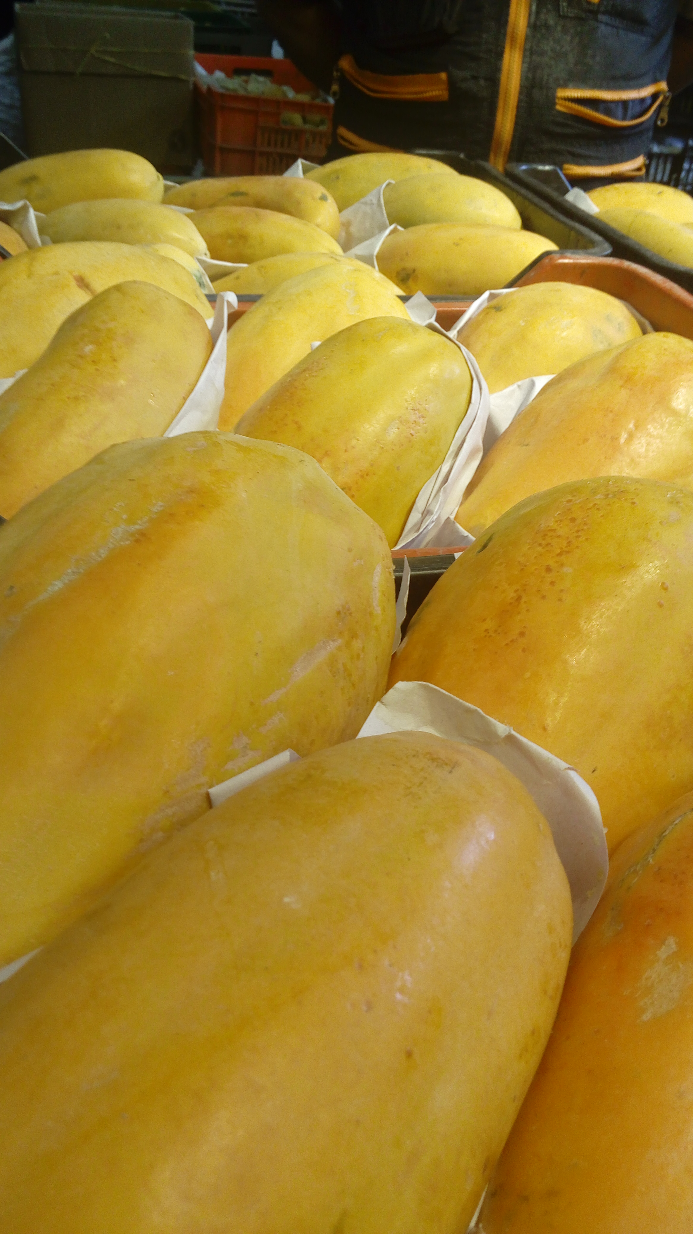 Papaya