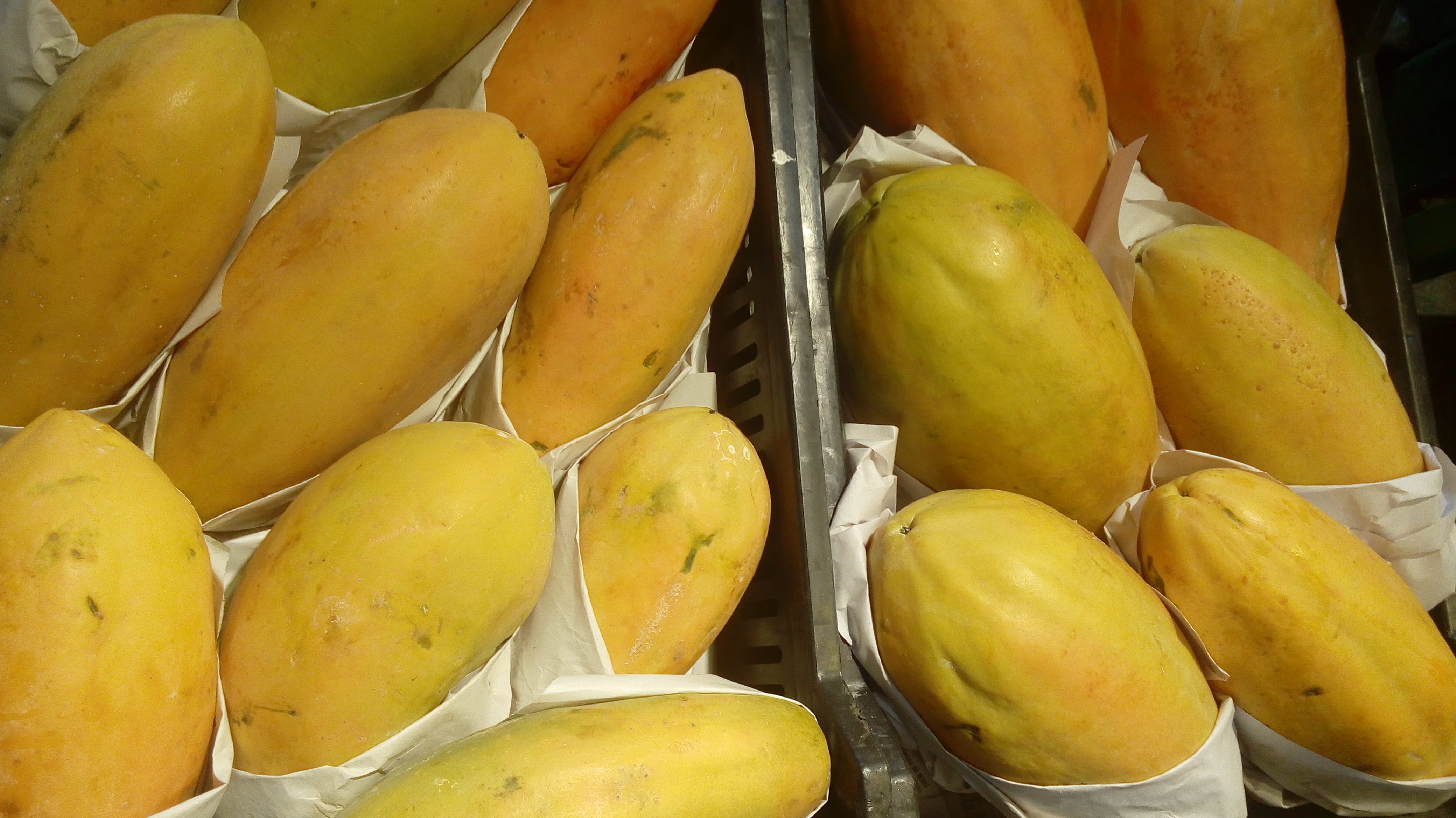 Papaya