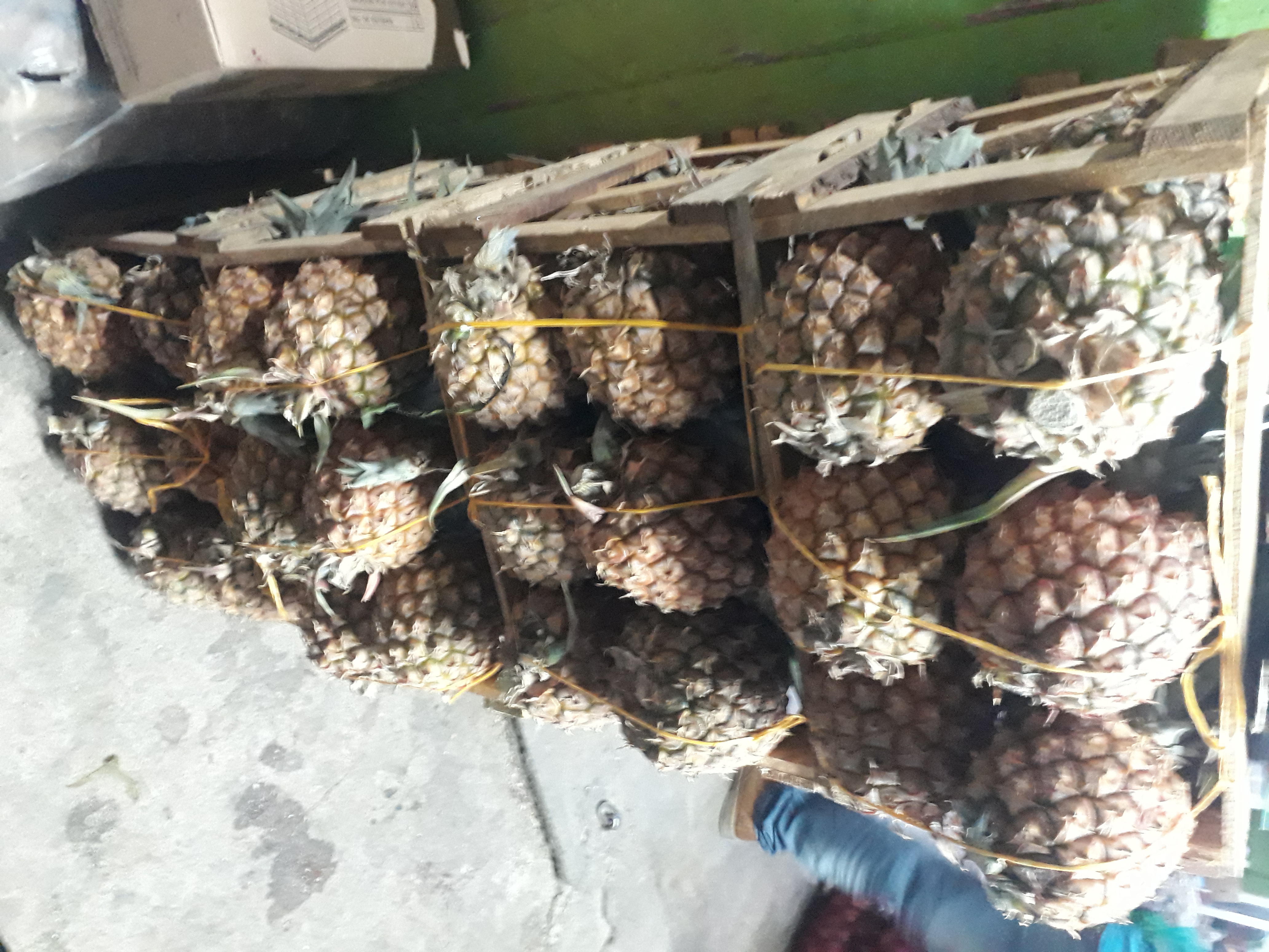 Piña