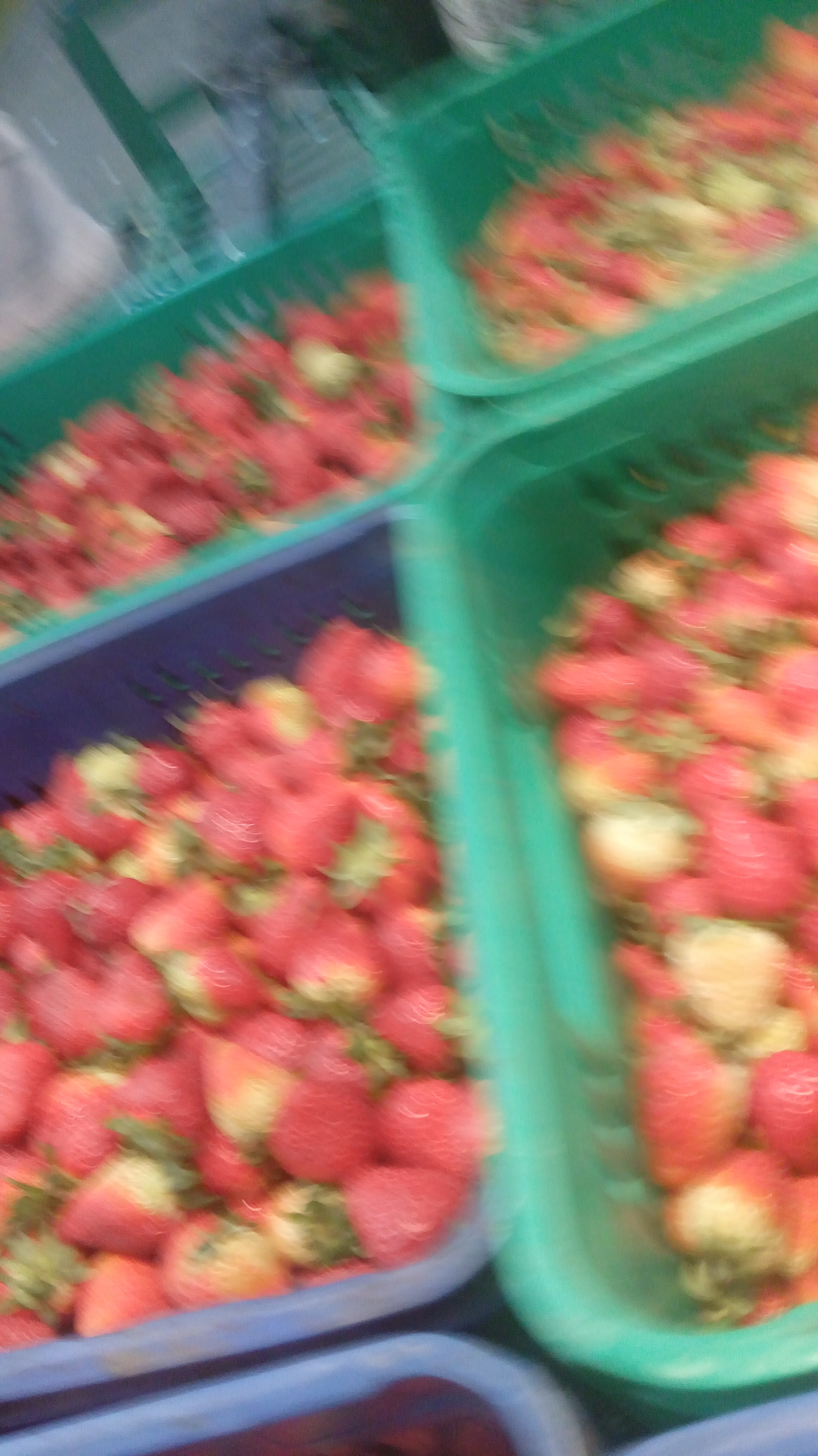 Fresas